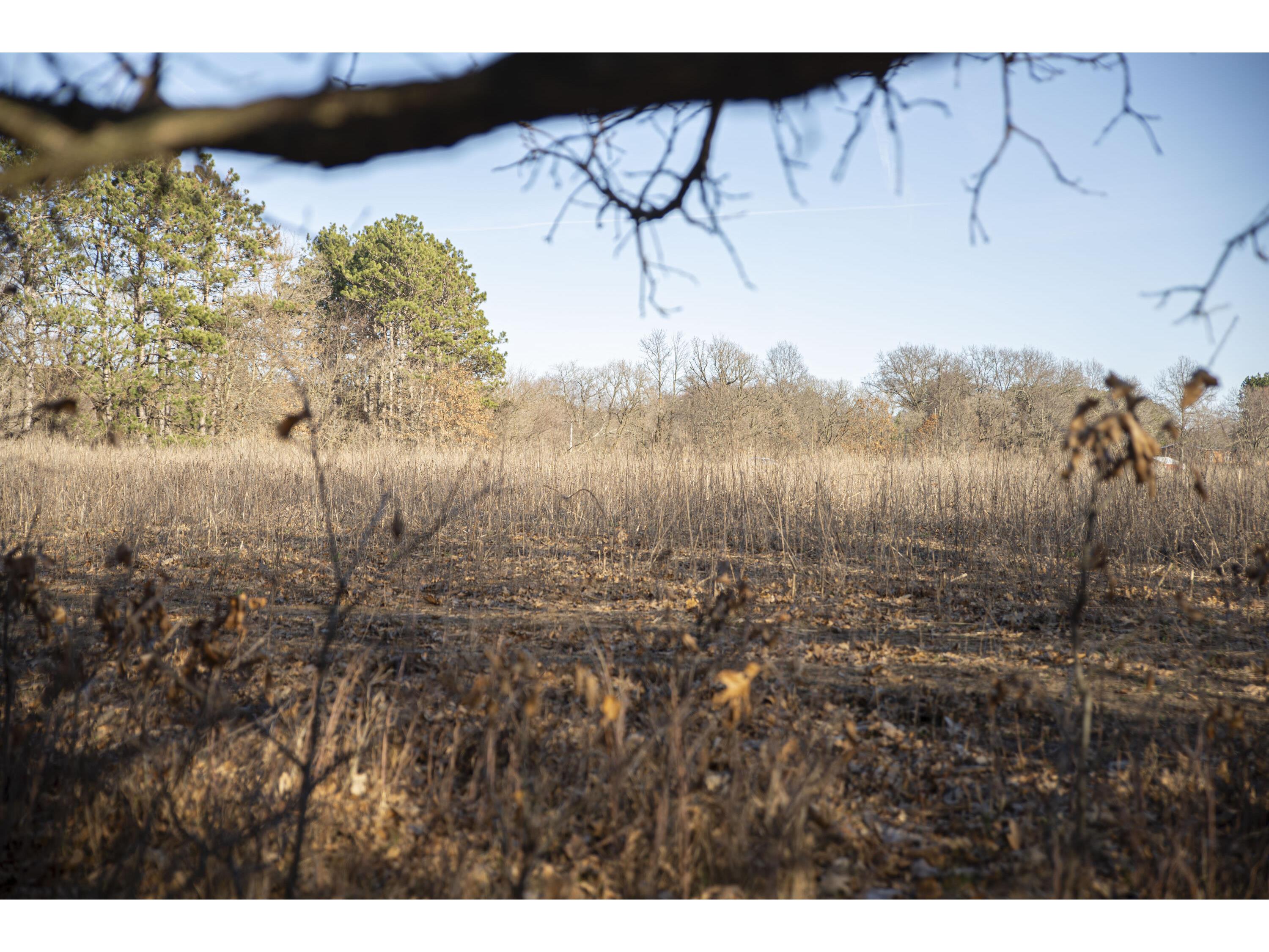 11507 State Highway 71 Angelo WI 54656 1868789 image1