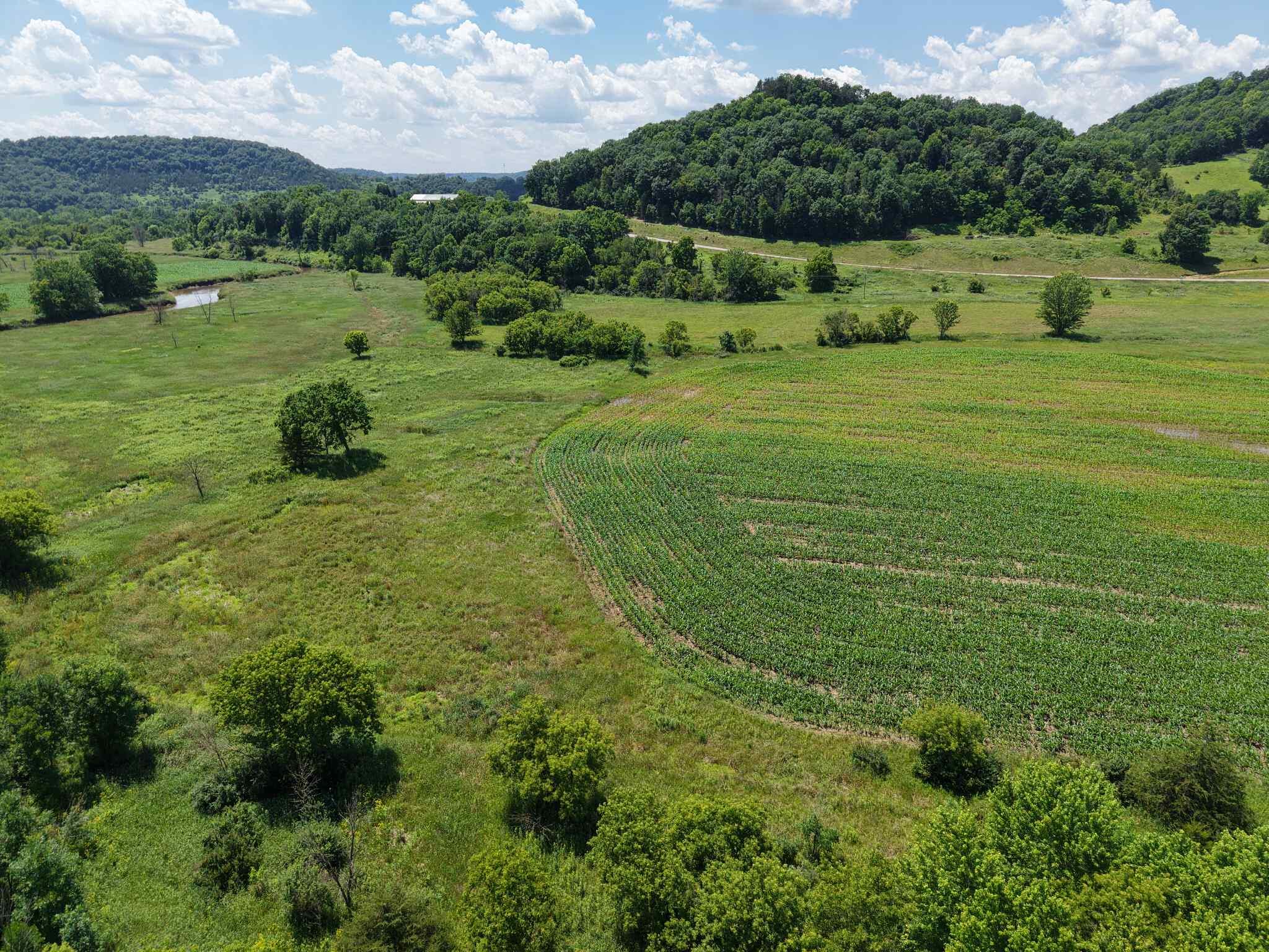 12824 River Forest WI 54664 - KICKAPOO RIVER 1923400 image7