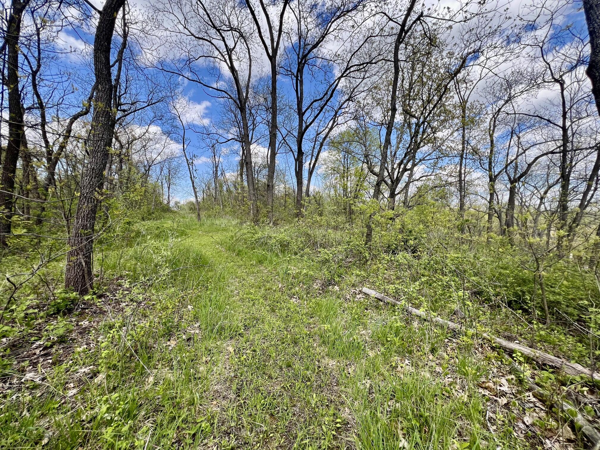 13287 Eagles View Freeman WI 54628 1962284 image26