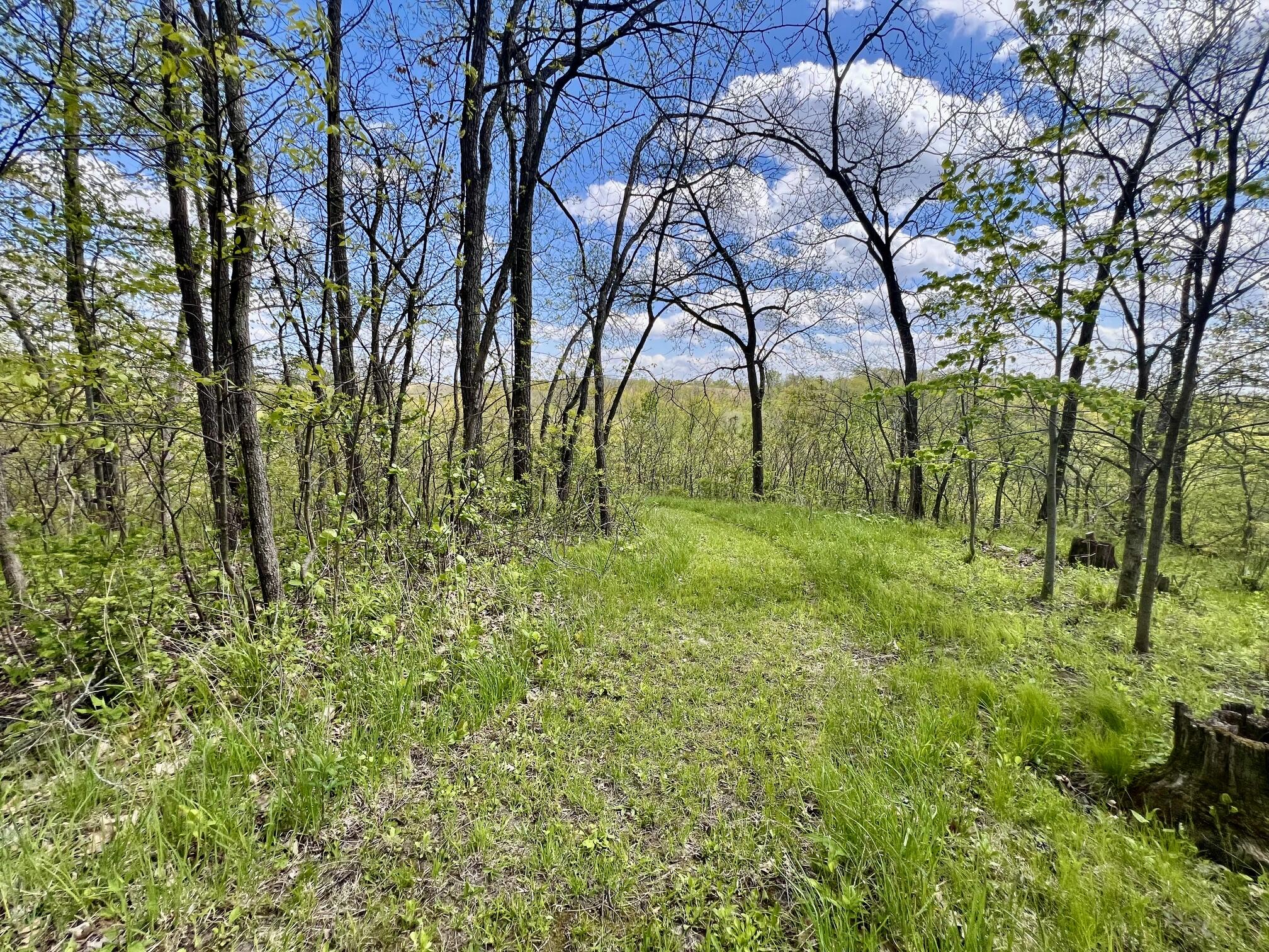 13287 Eagles View Freeman WI 54628 1962284 image27