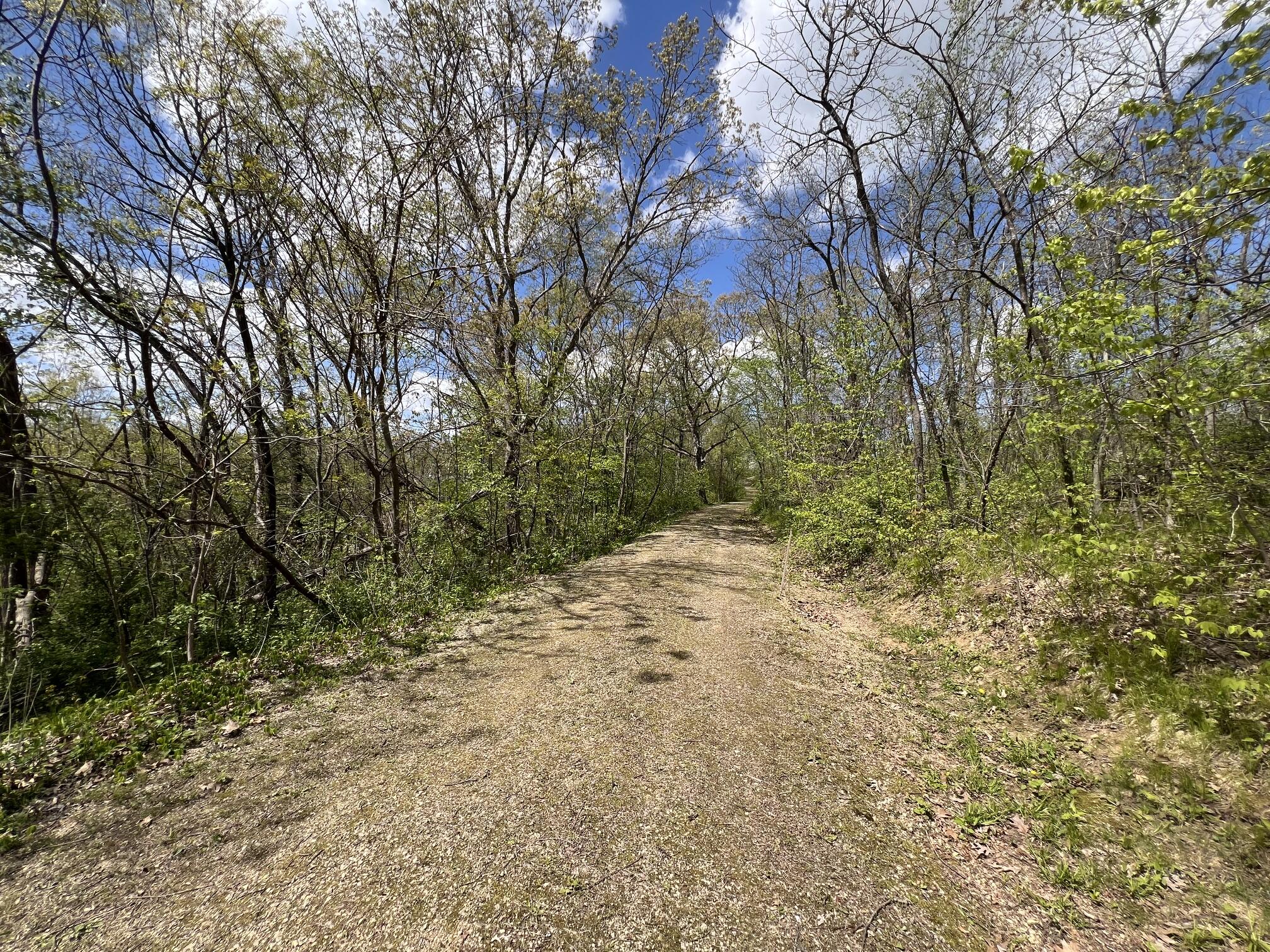 13287 Eagles View Freeman WI 54628 1962284 image32