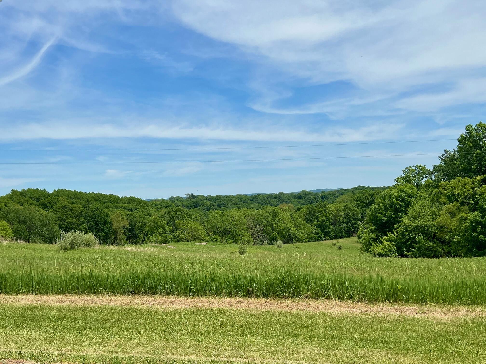 14026 Eagle Ridge Ferryville WI 54628 1964935 image6