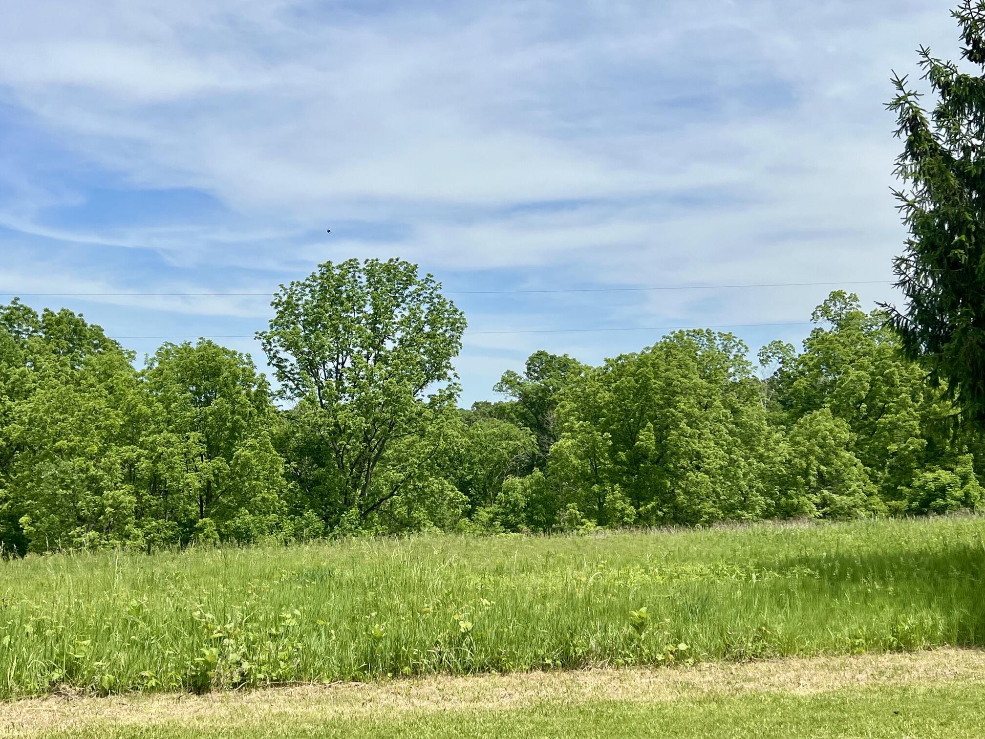 14026 Eagle Ridge Ferryville WI 54628 1964935 image7
