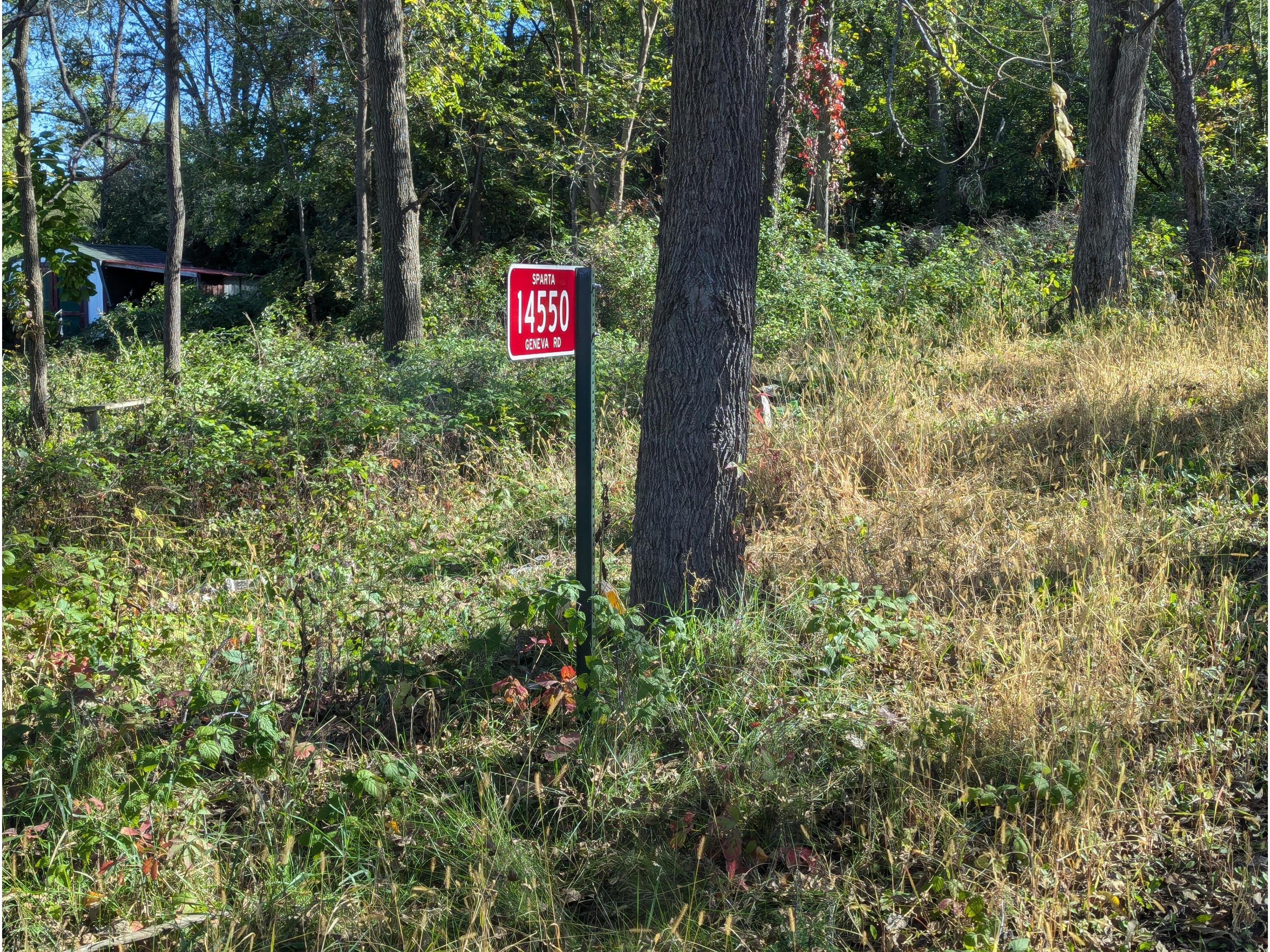 14550 Geneva Sparta WI 54656 1937869 image2