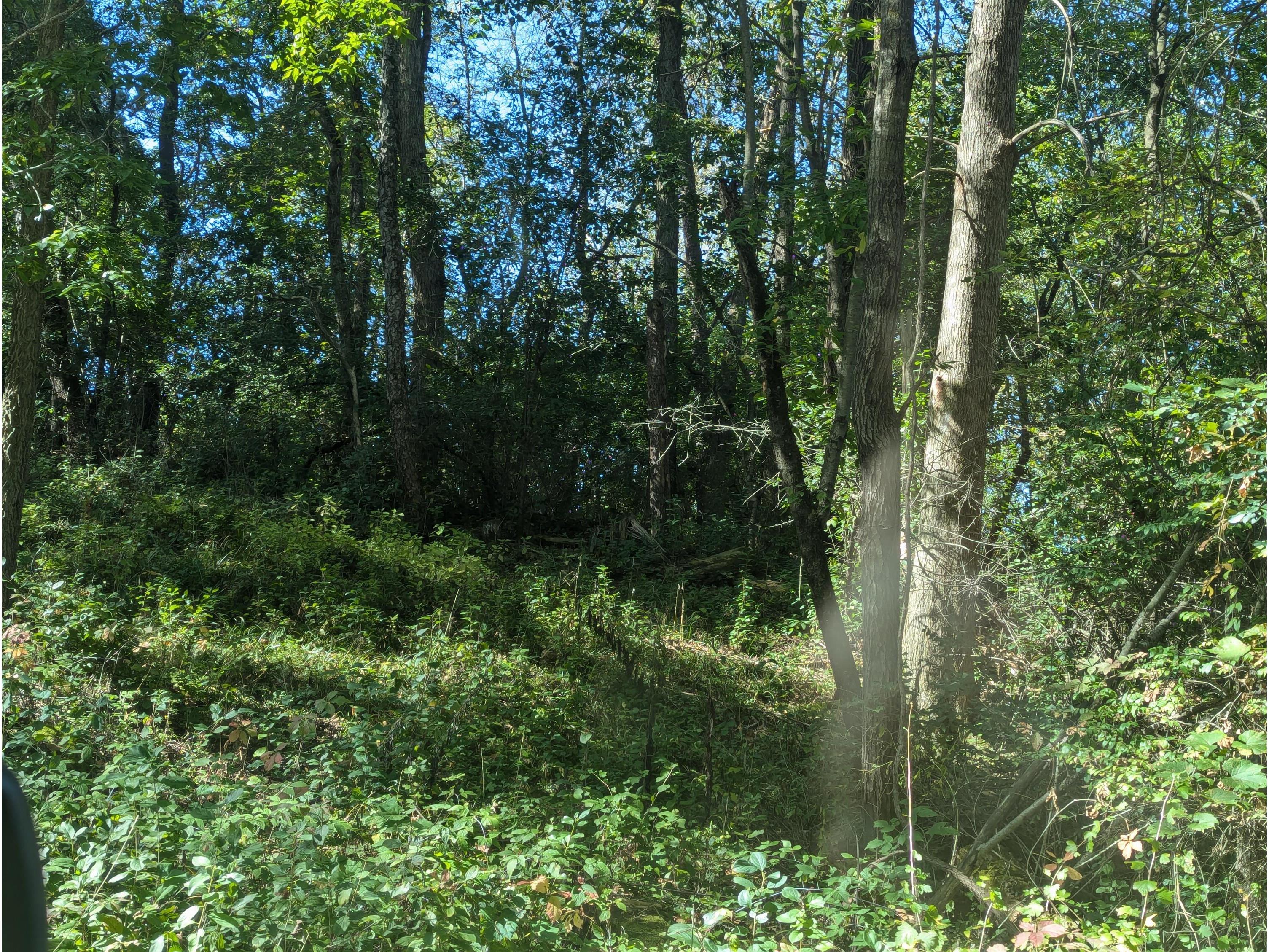 14550 Geneva Sparta WI 54656 1937869 image3