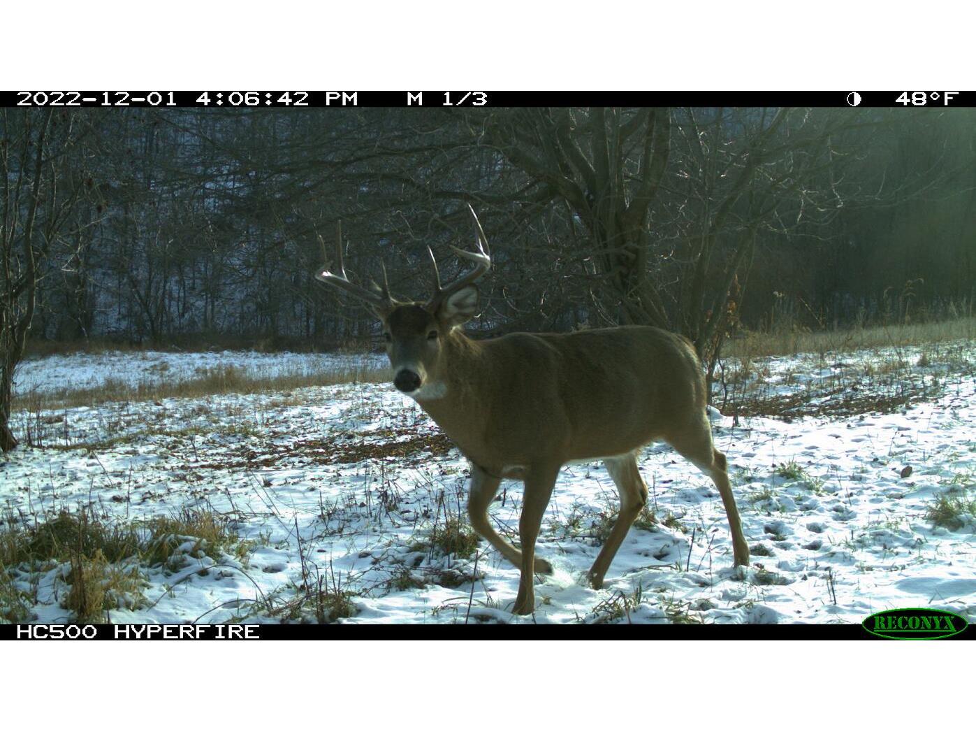 15145 Highway 61, Rollingstone, MN, 55959 MLS 1820724 Edina Realty