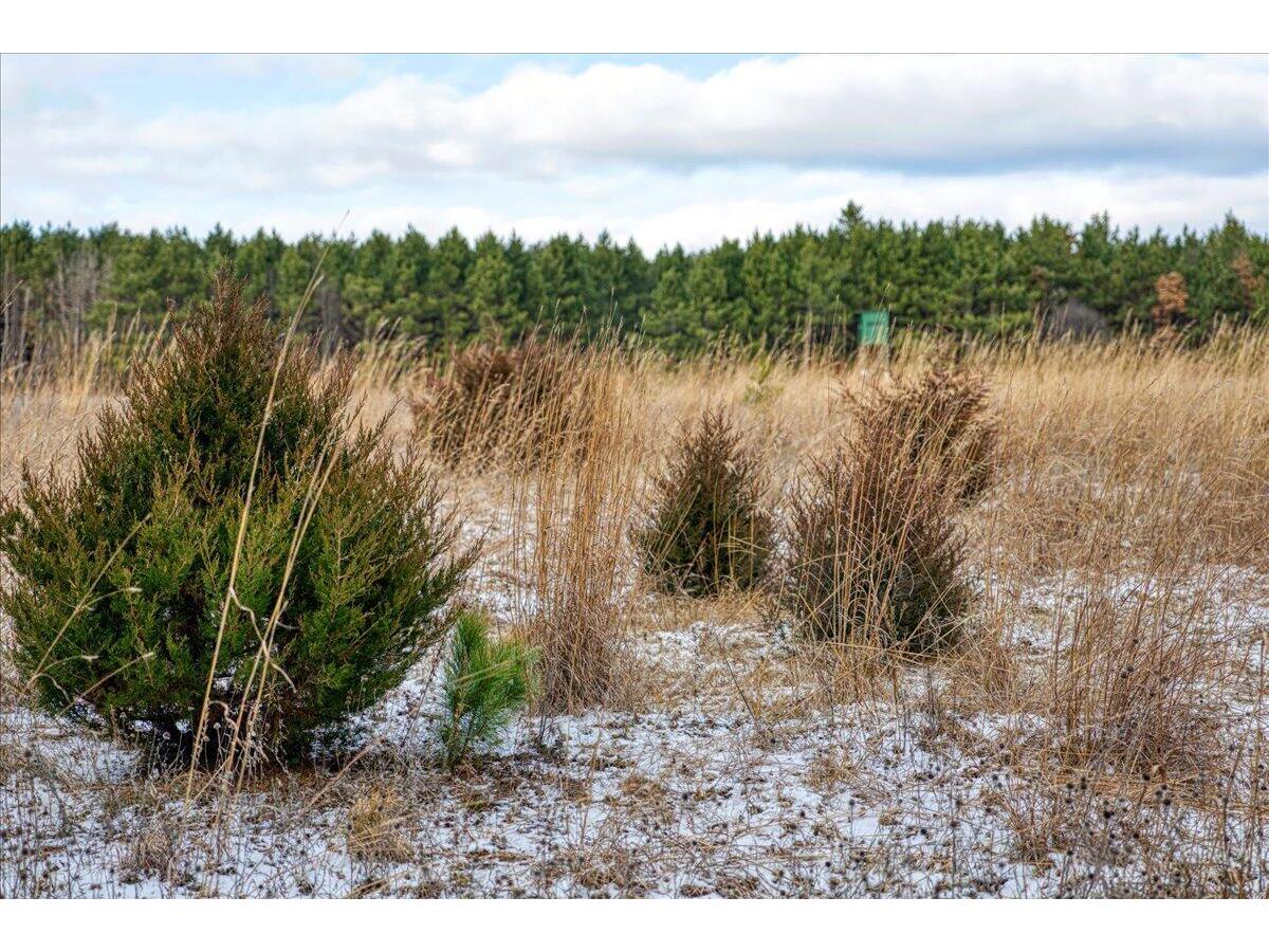 1565 STATE HIGHWAY 71 Little Falls WI 54656 1944171 image32