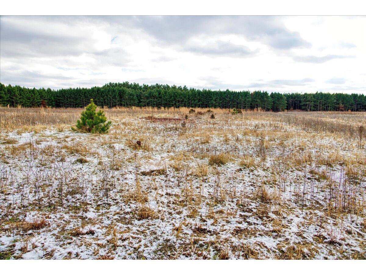 1565 STATE HIGHWAY 71 Little Falls WI 54656 1944171 image33