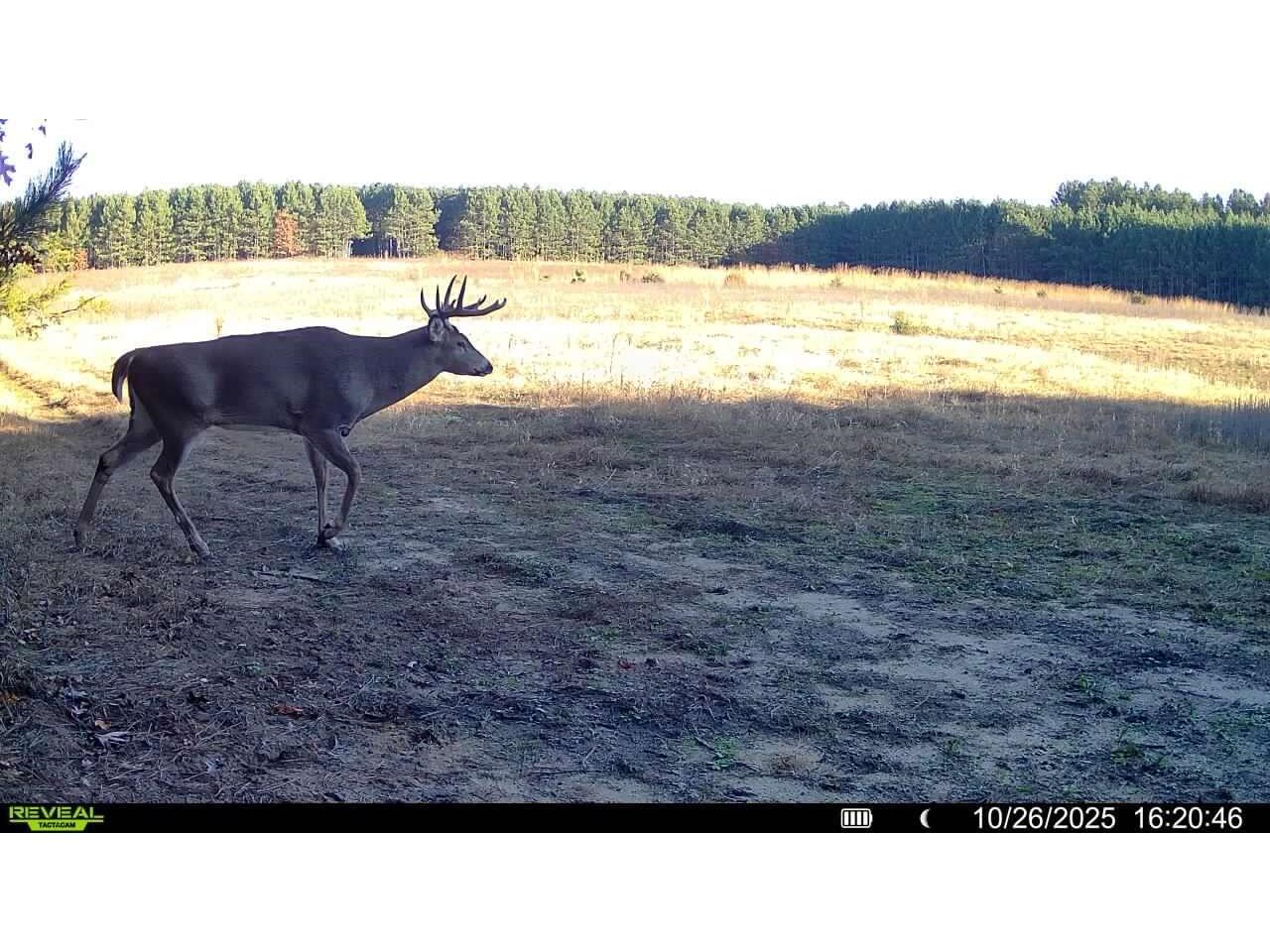 1565 STATE HIGHWAY 71 Little Falls WI 54656 1944171 image34