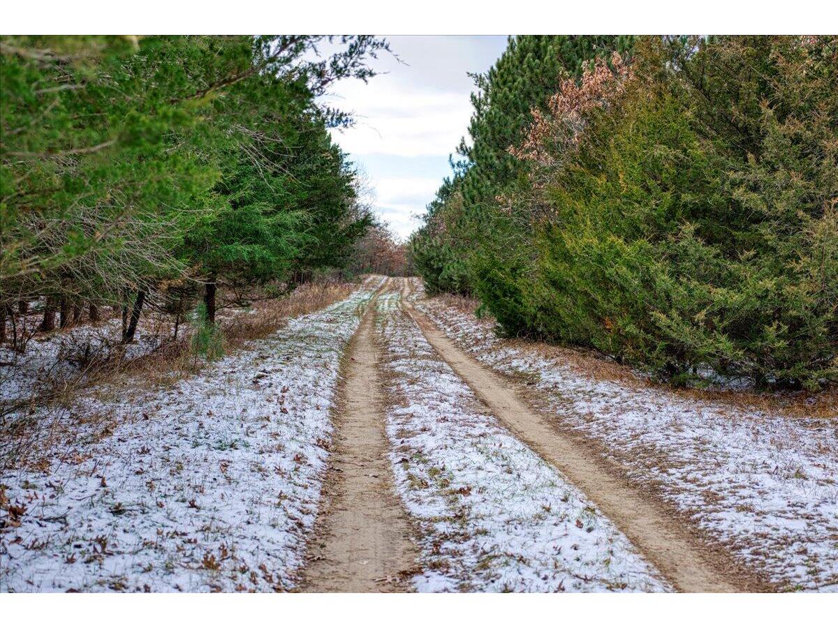 1565 STATE HIGHWAY 71 Little Falls WI 54656 1944171 image37