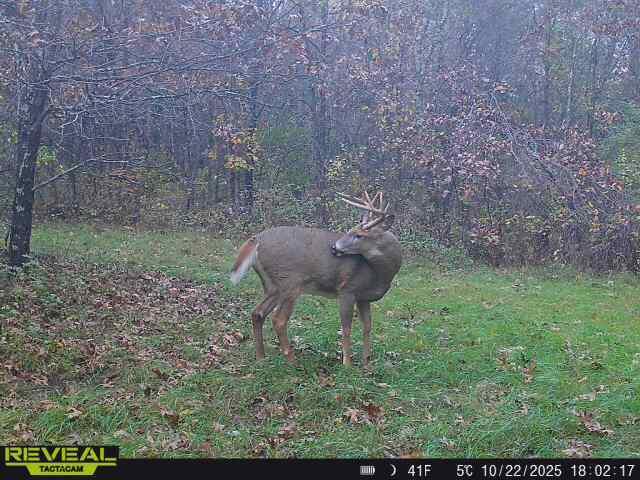 1565 STATE HIGHWAY 71 Little Falls WI 54656 1944171 image4