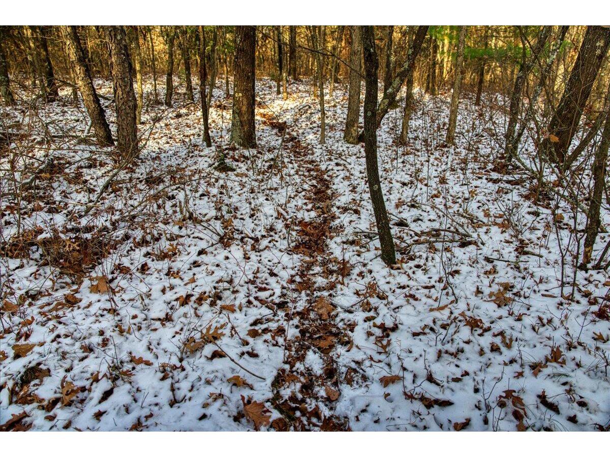 1565 STATE HIGHWAY 71 Little Falls WI 54656 1944171 image41