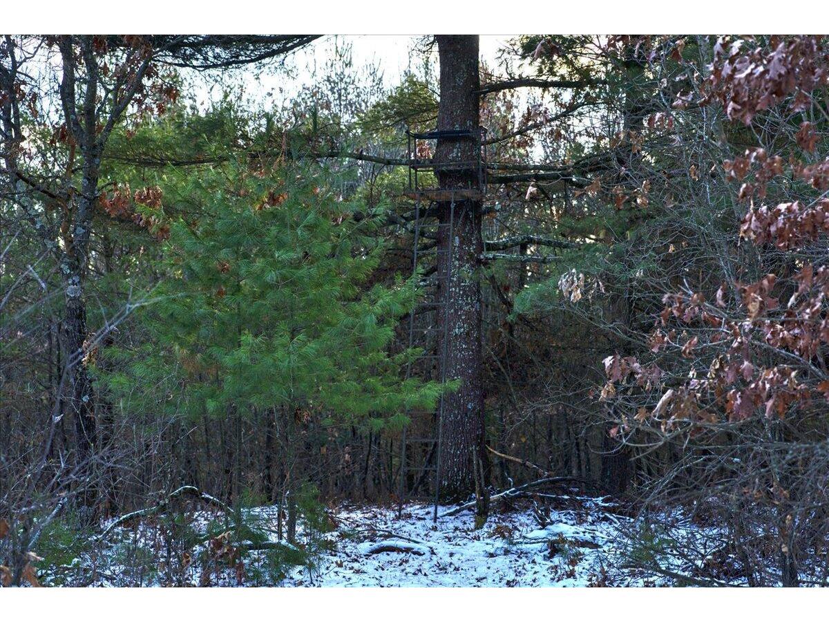 1565 STATE HIGHWAY 71 Little Falls WI 54656 1944171 image49