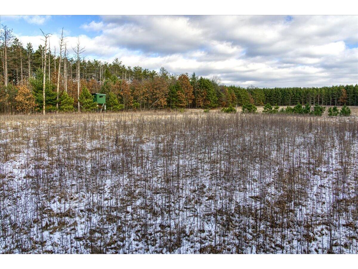 1565 STATE HIGHWAY 71 Little Falls WI 54656 1944171 image53