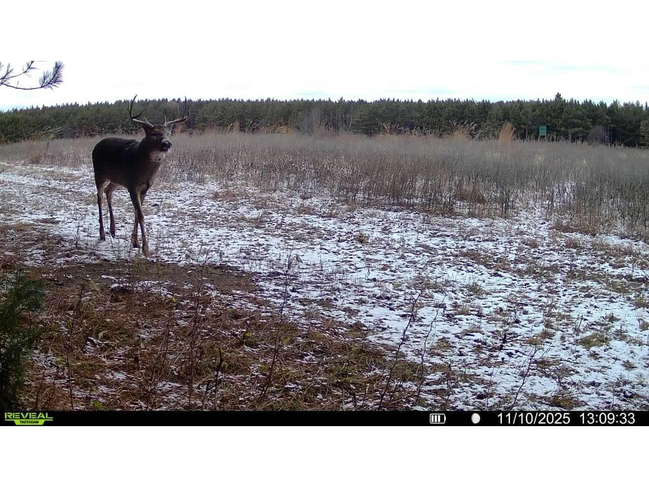 1565 State Highway 71 Little Falls WI 56345 1954470 image25