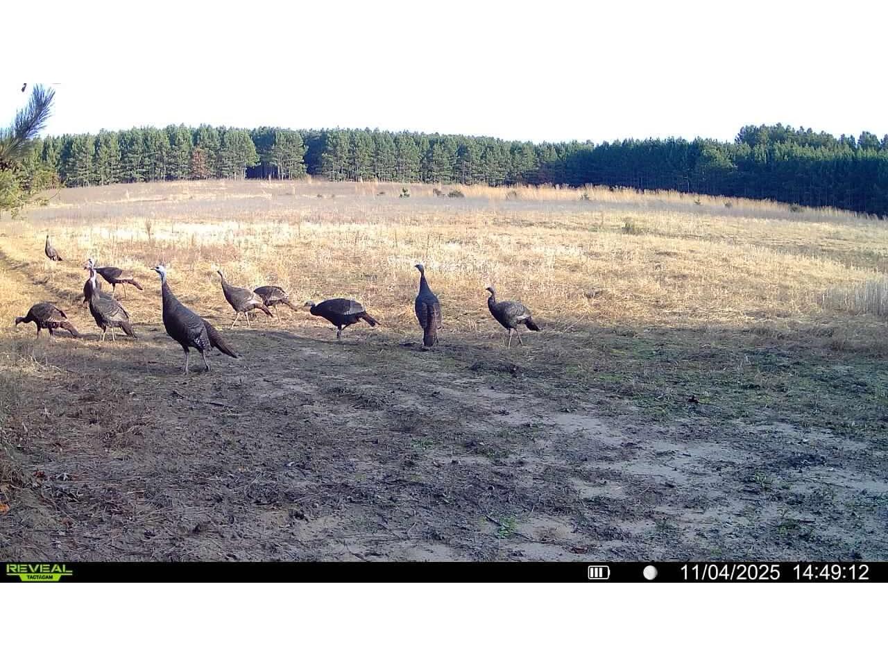 1565 State Highway 71 Little Falls WI 56345 1954470 image31