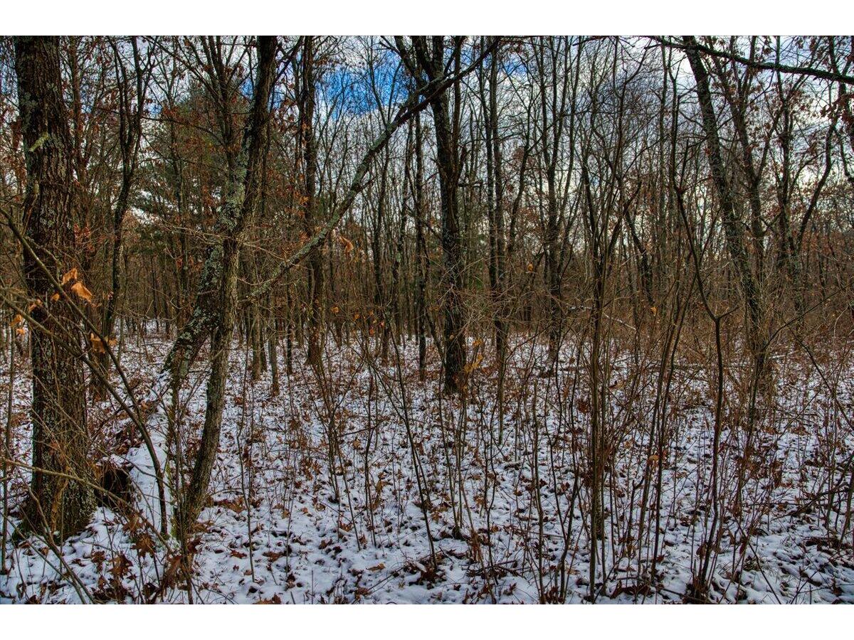 1565 State Highway 71 Little Falls WI 56345 1954470 image32