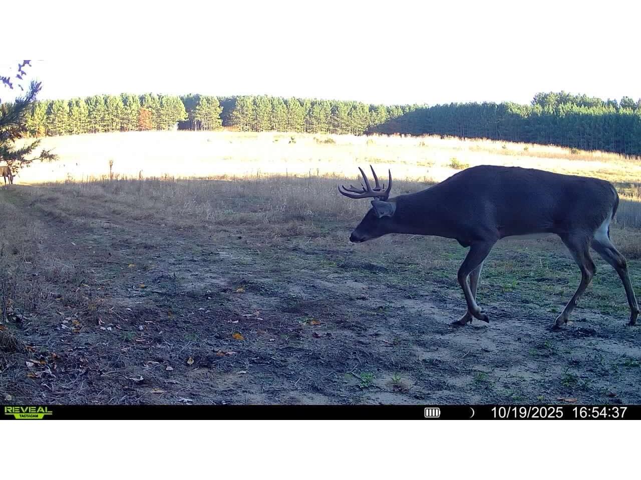 1565 State Highway 71 Little Falls WI 56345 1954470 image33