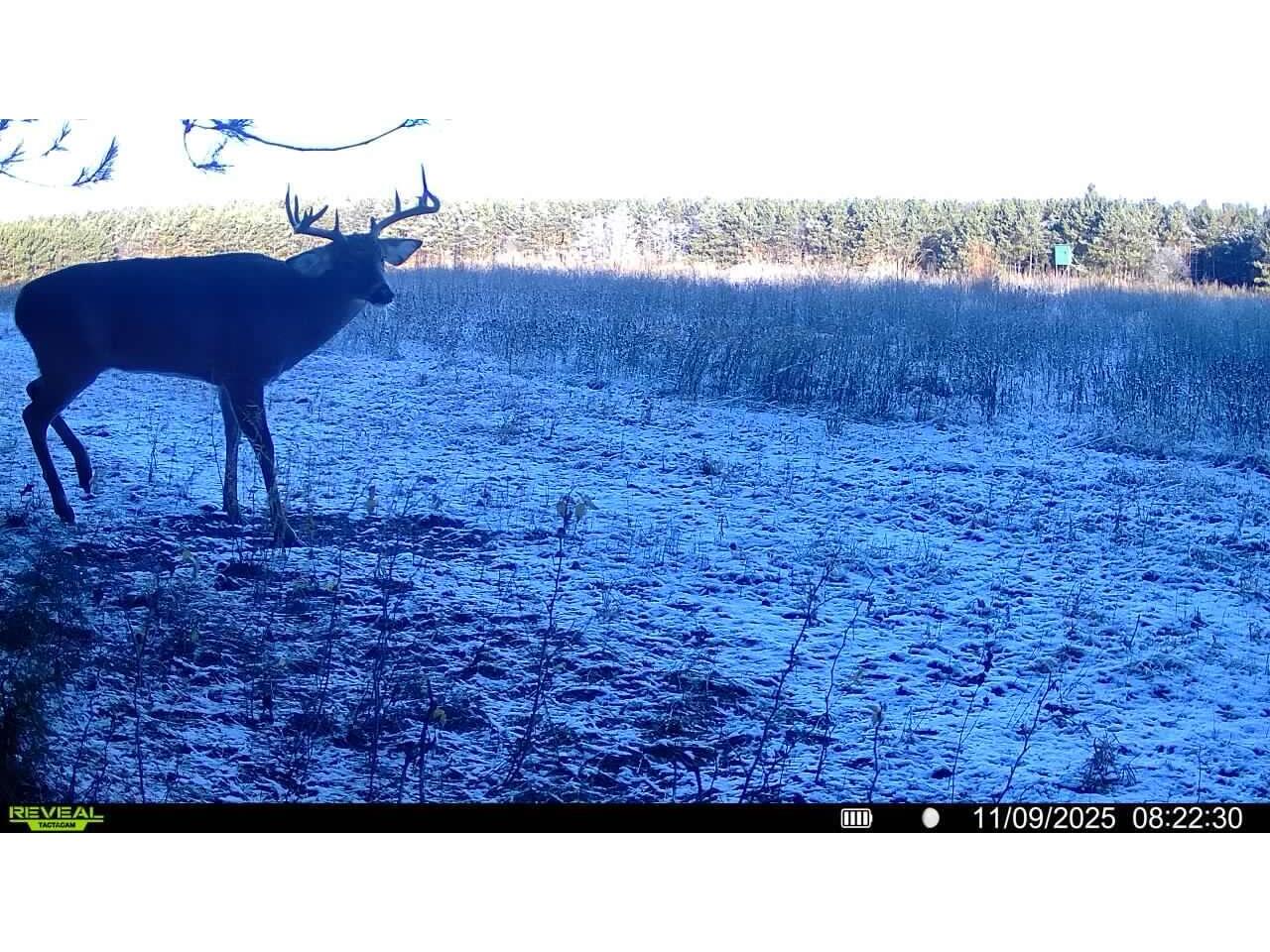 1565 State Highway 71 Little Falls WI 56345 1954470 image35