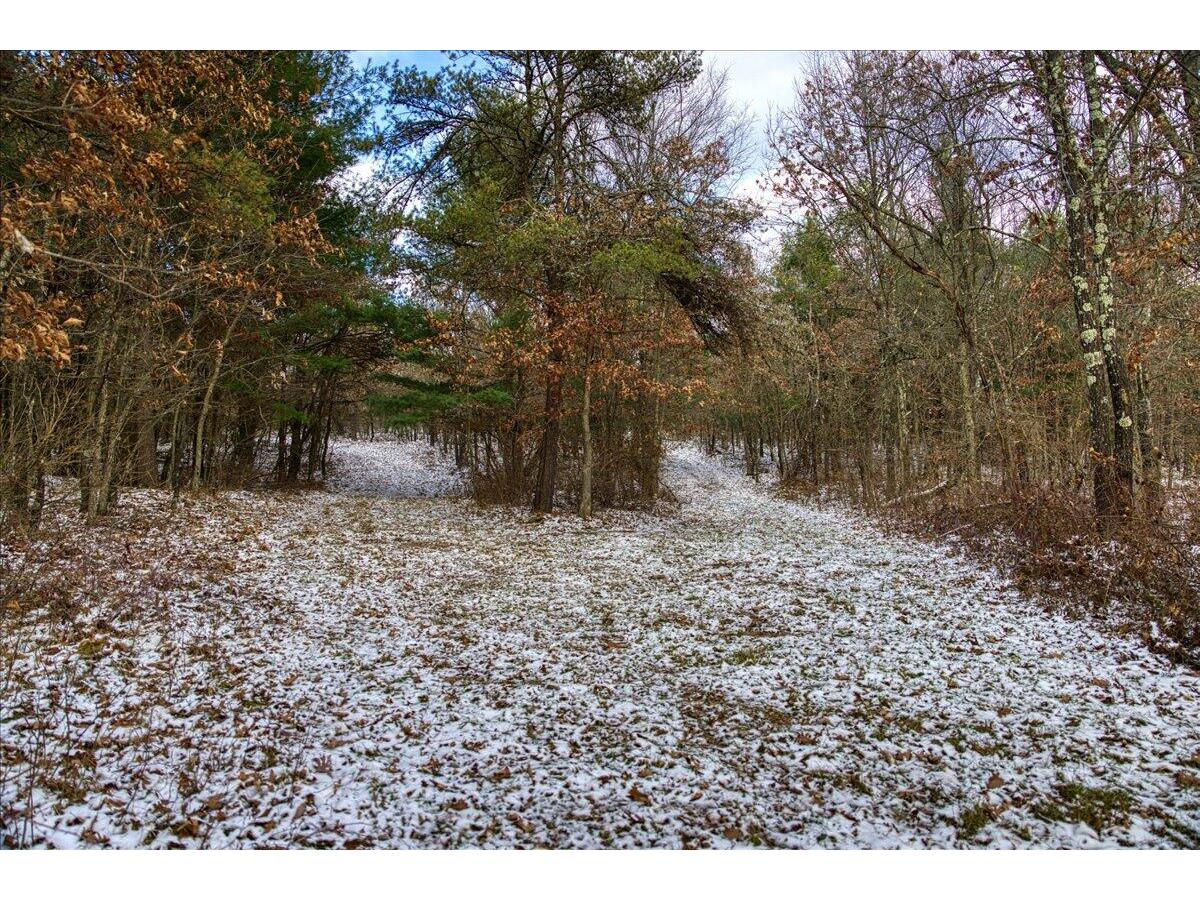 1565 State Highway 71 Little Falls WI 56345 1954470 image36