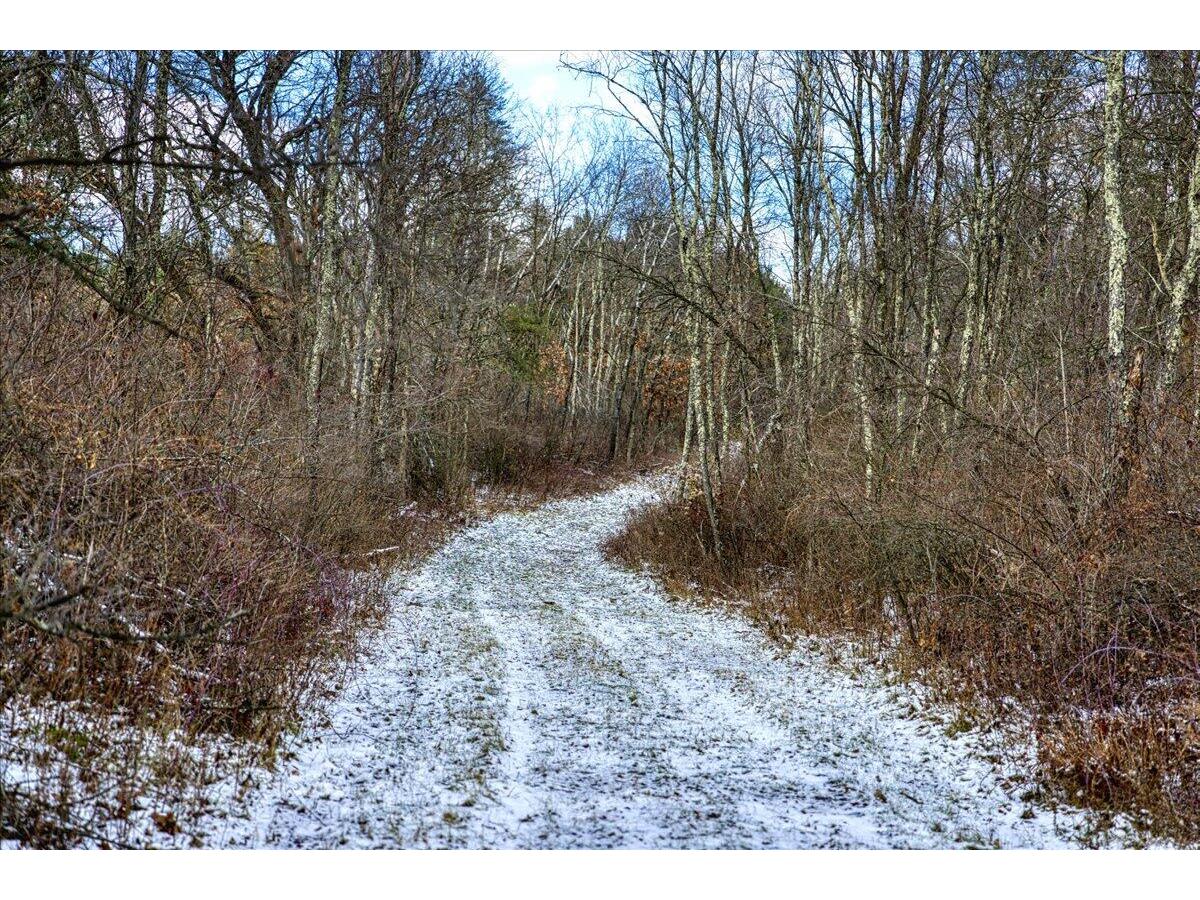 1565 State Highway 71 Little Falls WI 56345 1954470 image4