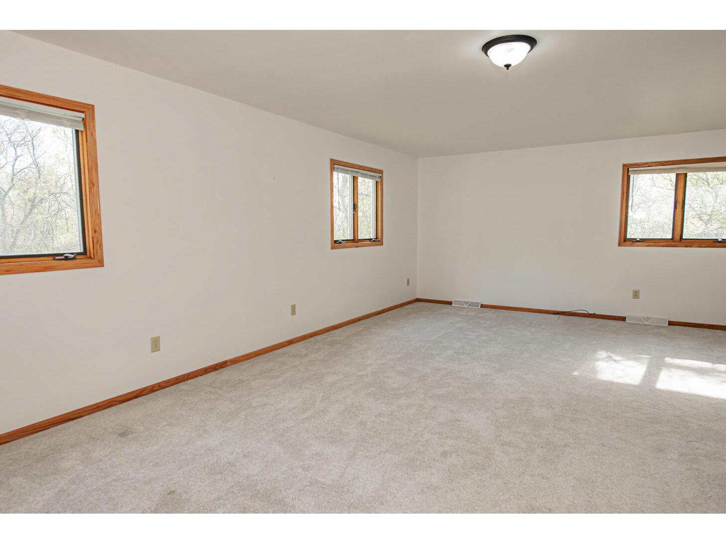 16208 Denzer Rollingstone MN 55959 1960066 image11