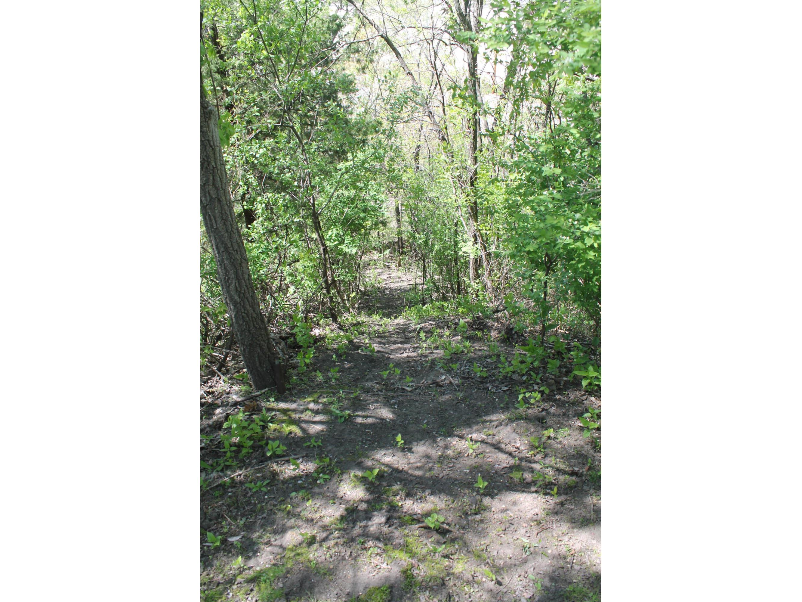 1627 St Cloud La Crosse WI 54603 1960892 image13