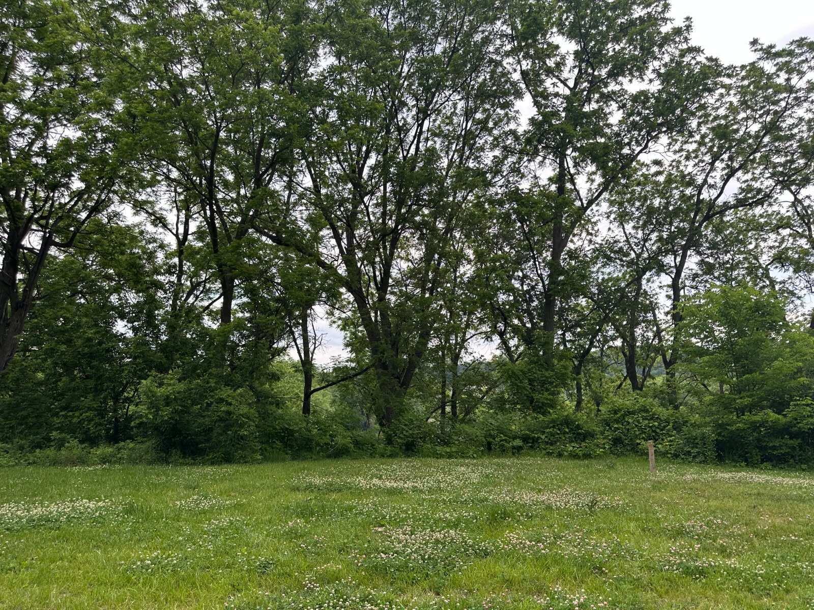 16822 S 5th Galesville WI 54630 1949356 image1