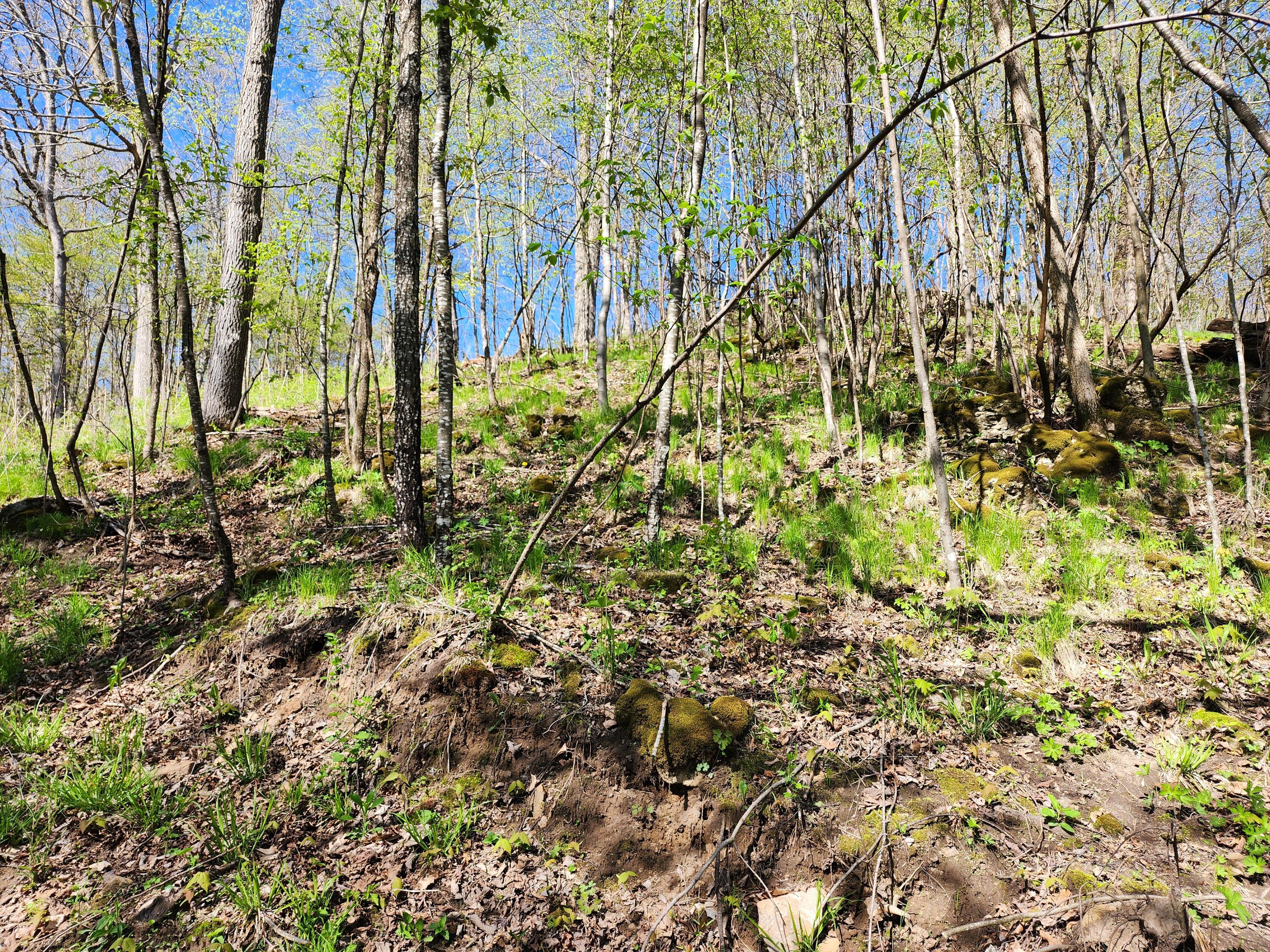 0 County Road P Wellington WI 54651 1917687 image1