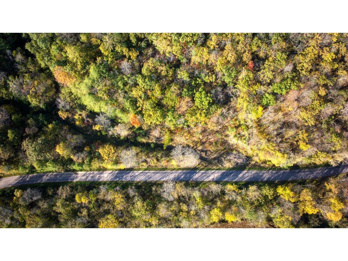 17161 County Highway F Sheldon WI 54648 1939520 image62