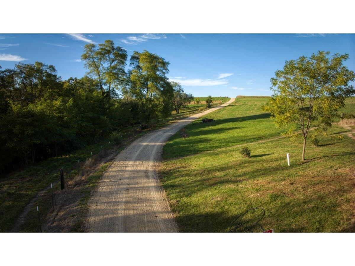 17161 County Highway F Sheldon WI 54648 1939520 image69