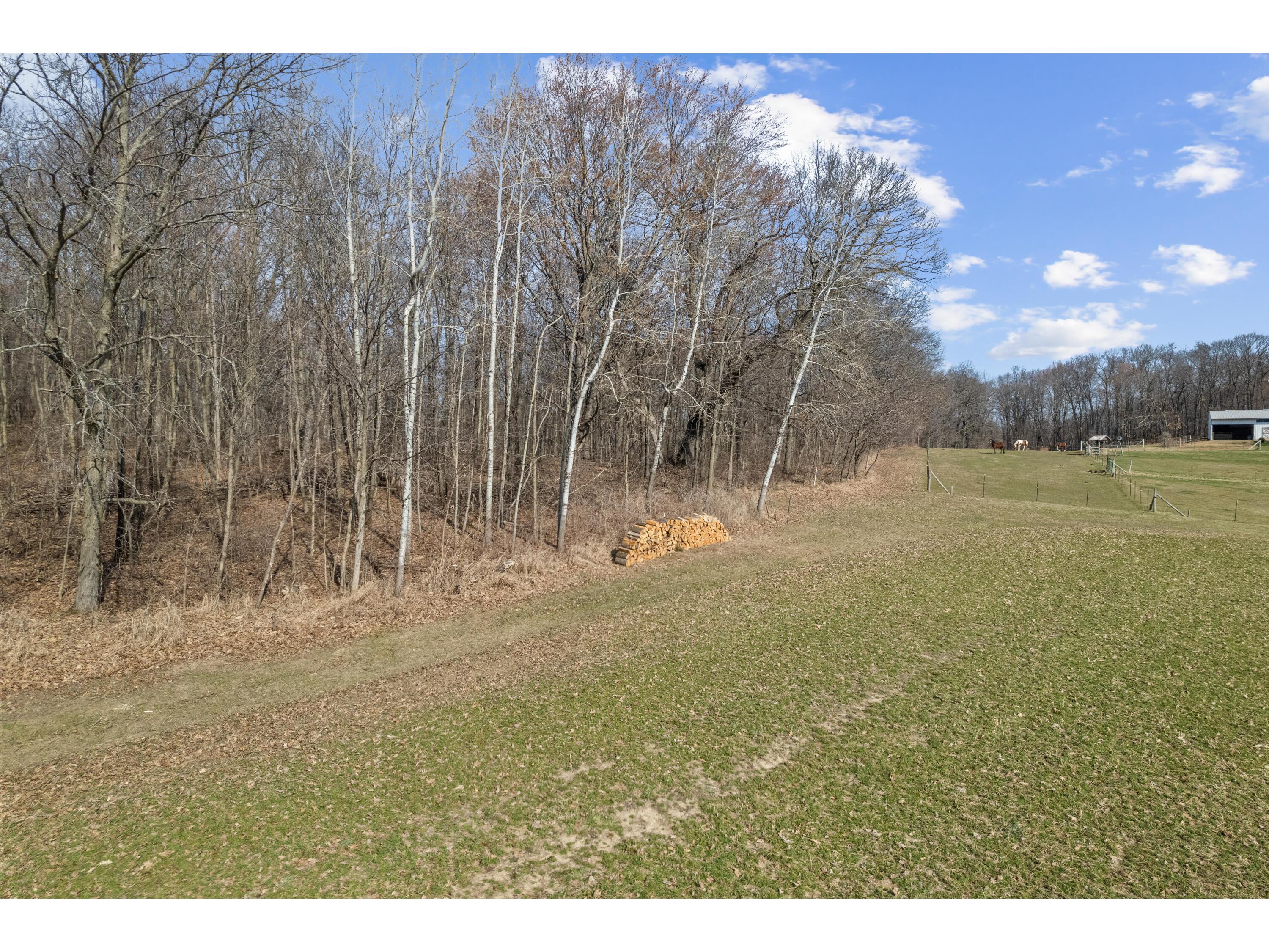 17531 Hemlock Adrian WI 54660 1956627 image38