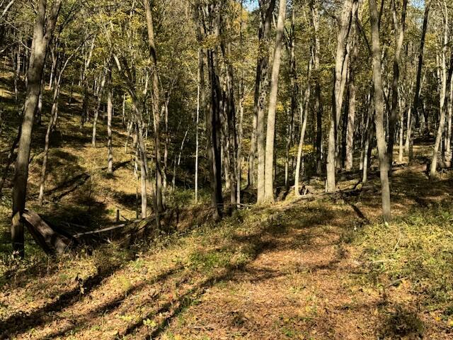 18 Acres McCarty Kickapoo WI 54652 1906097 image1