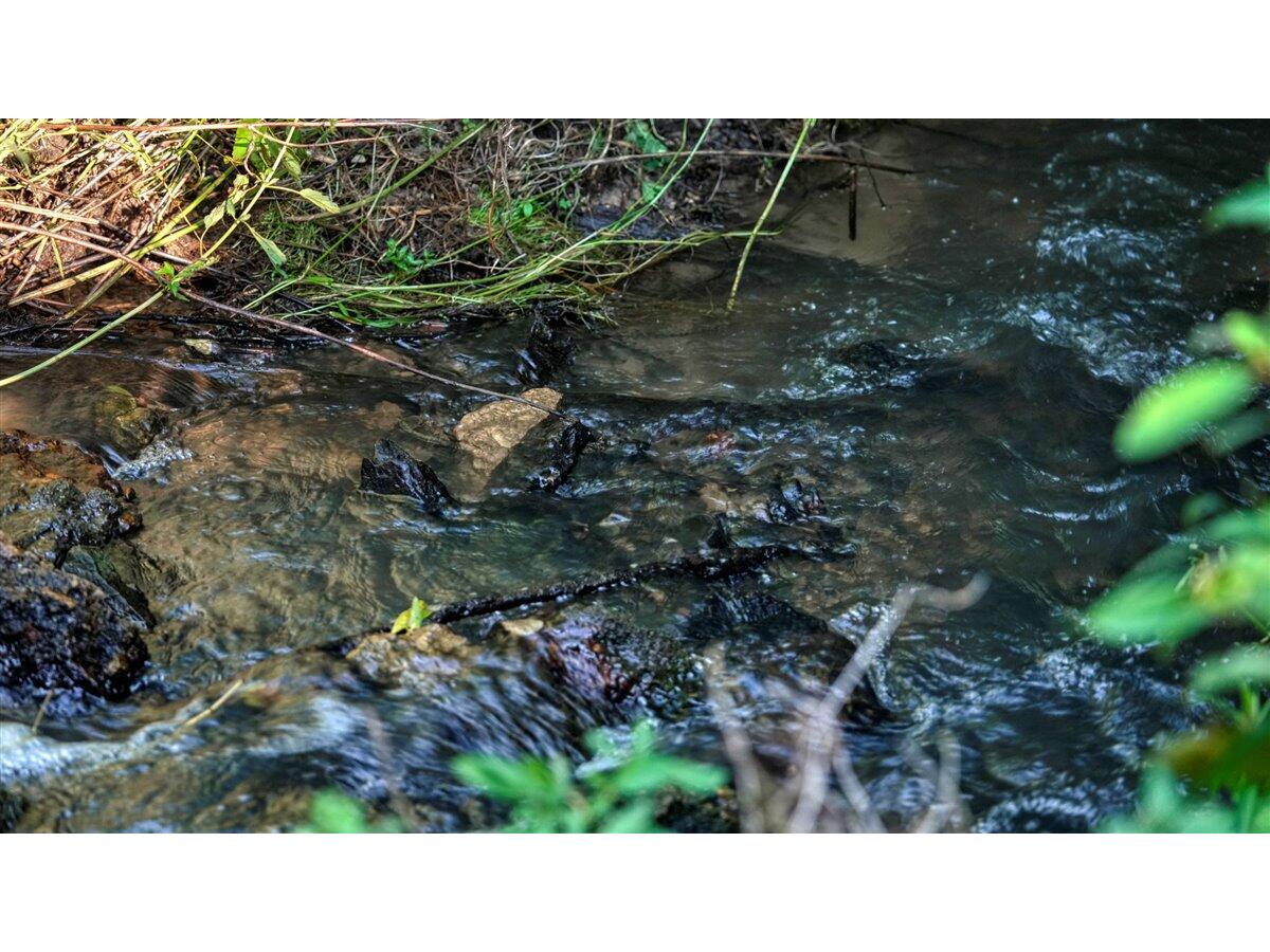 0 Hwy 16/Hamlet Sparta WI 54656 1926122 image10