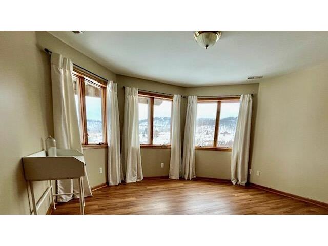 203 Eagles Bluff La Crescent MN 55947 1944436 image21