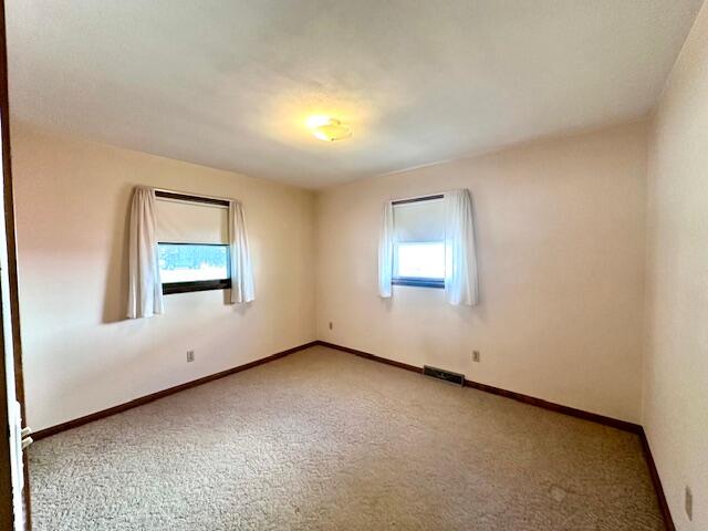 207 Pine Caledonia MN 55921 1963583 image15