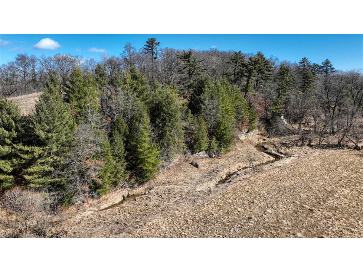 21640 Nordale Sheldon WI 54651 1951132 image38