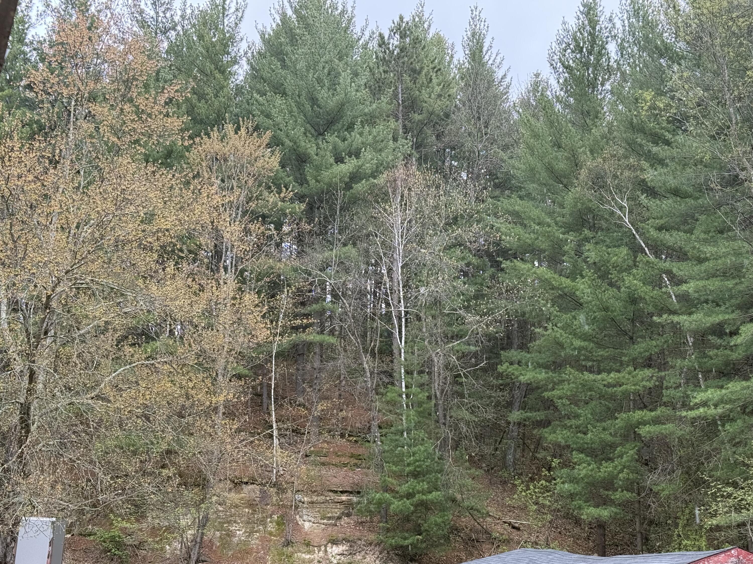 22450 Kodiak Clifton WI 54638 1951976 image65