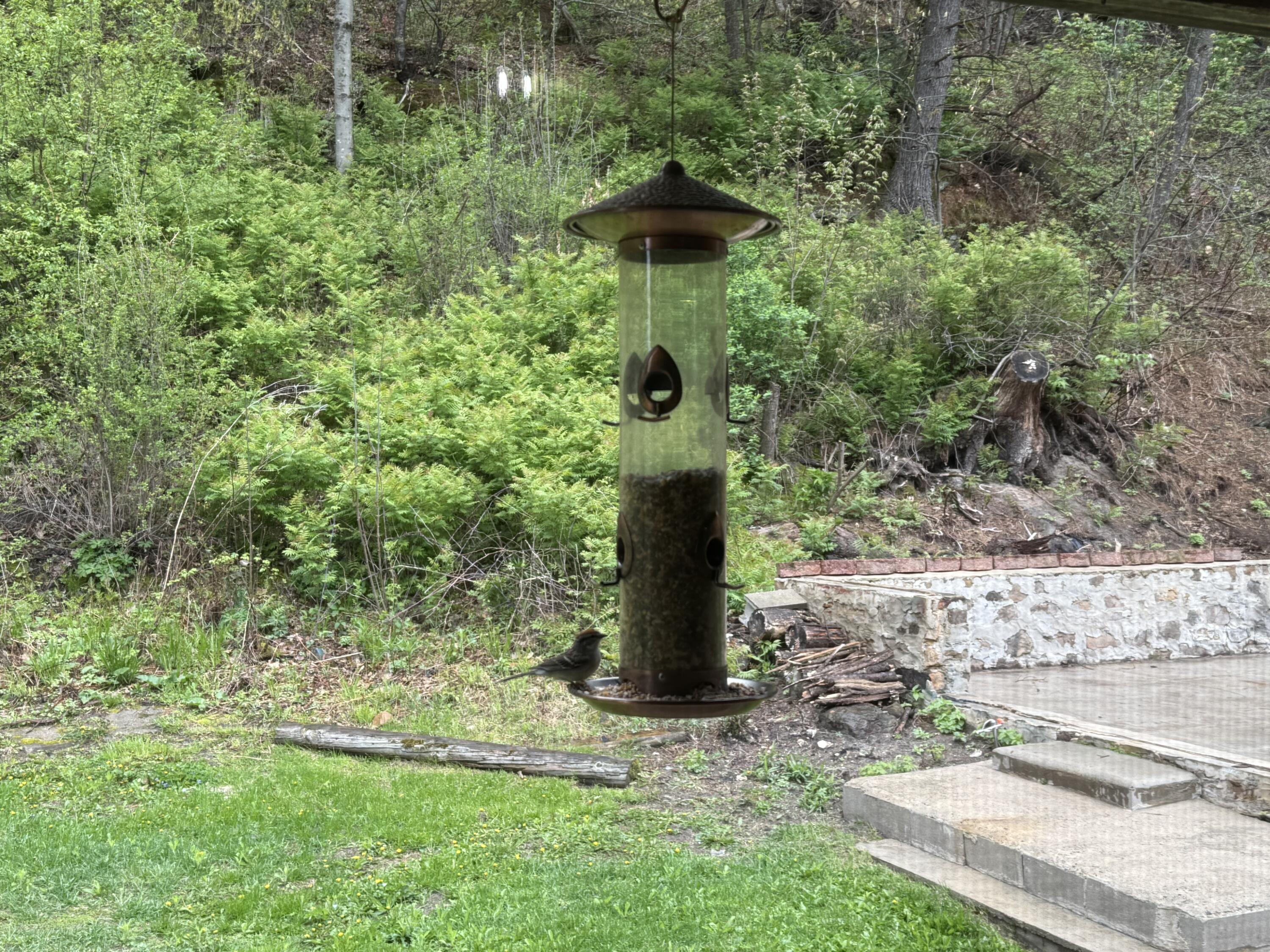 22450 Kodiak Clifton WI 54638 1951976 image66
