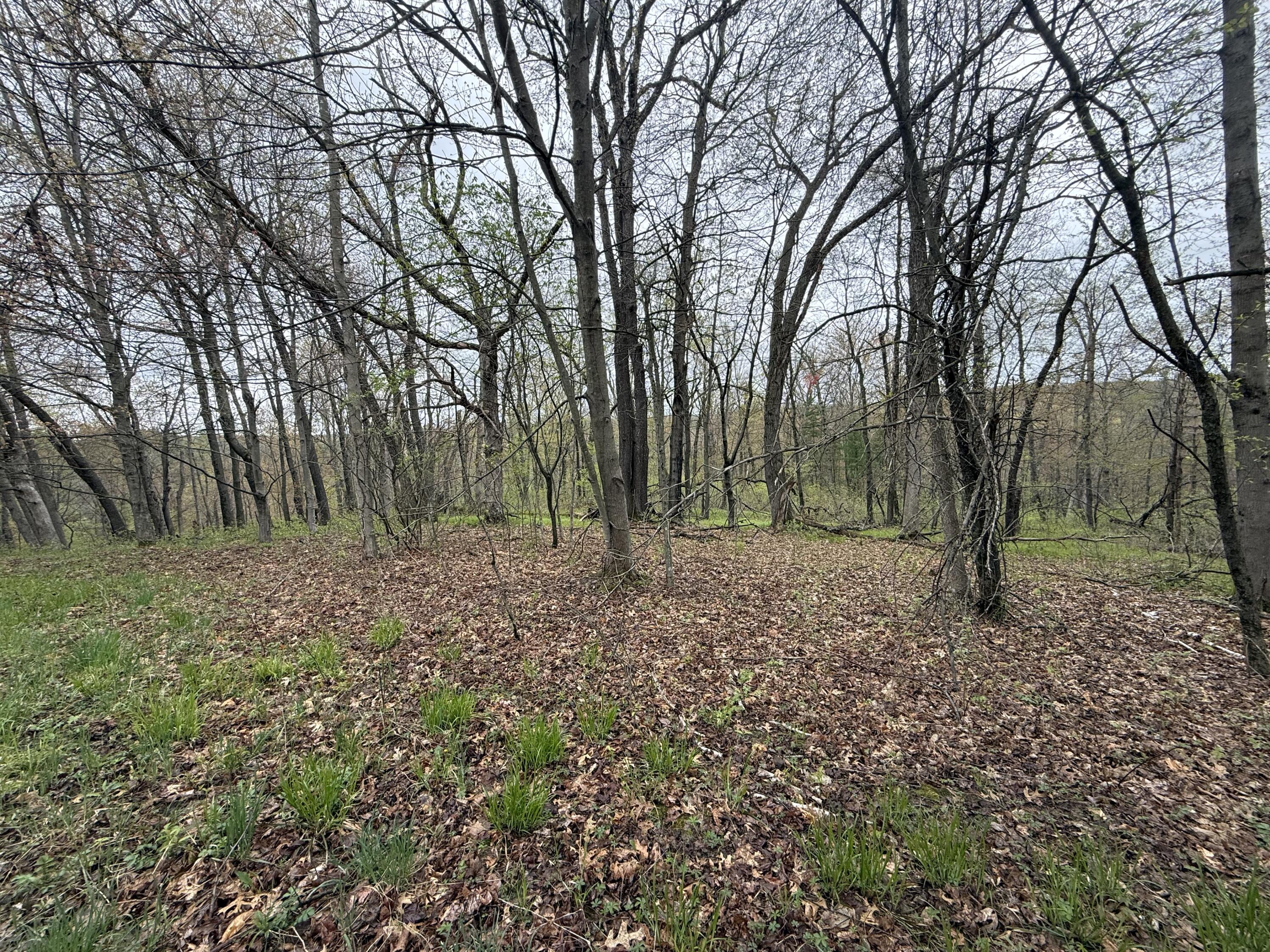 22450 Kodiak Clifton WI 54638 1951976 image74