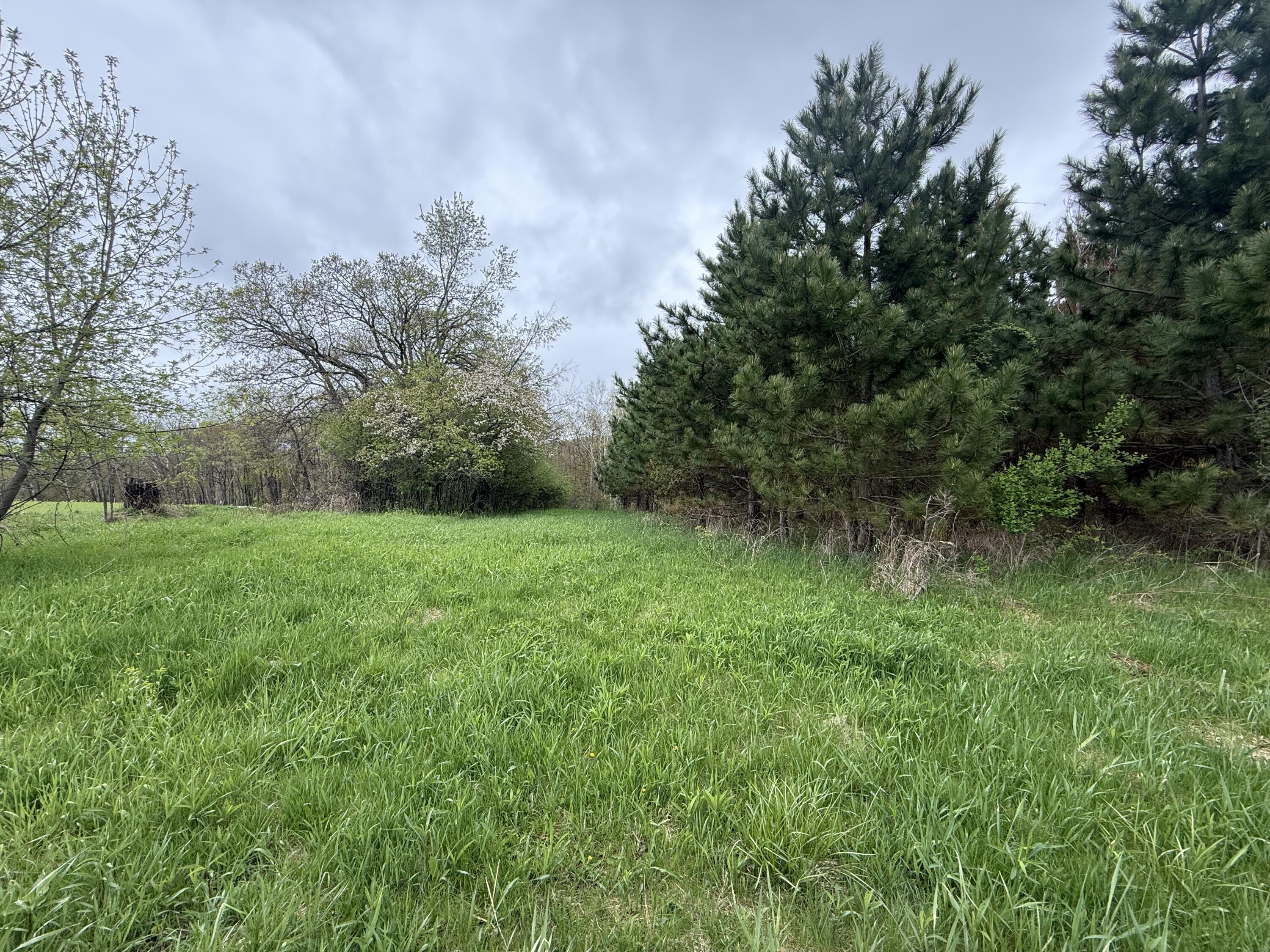 22450 Kodiak Clifton WI 54638 1951976 image75