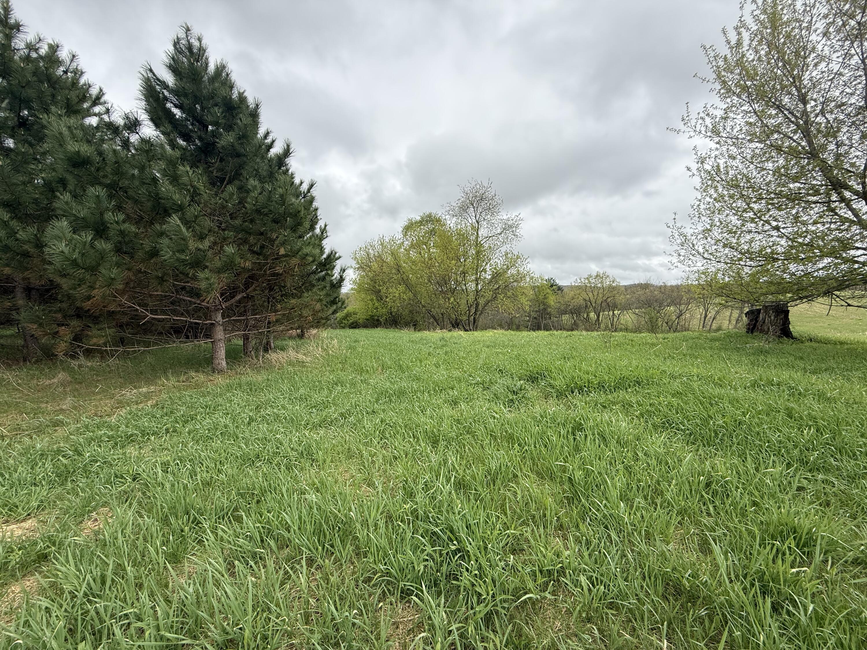 22450 Kodiak Clifton WI 54638 1951976 image76