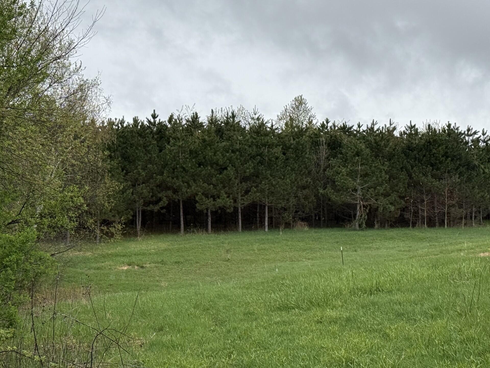 22450 Kodiak Clifton WI 54638 1951976 image78