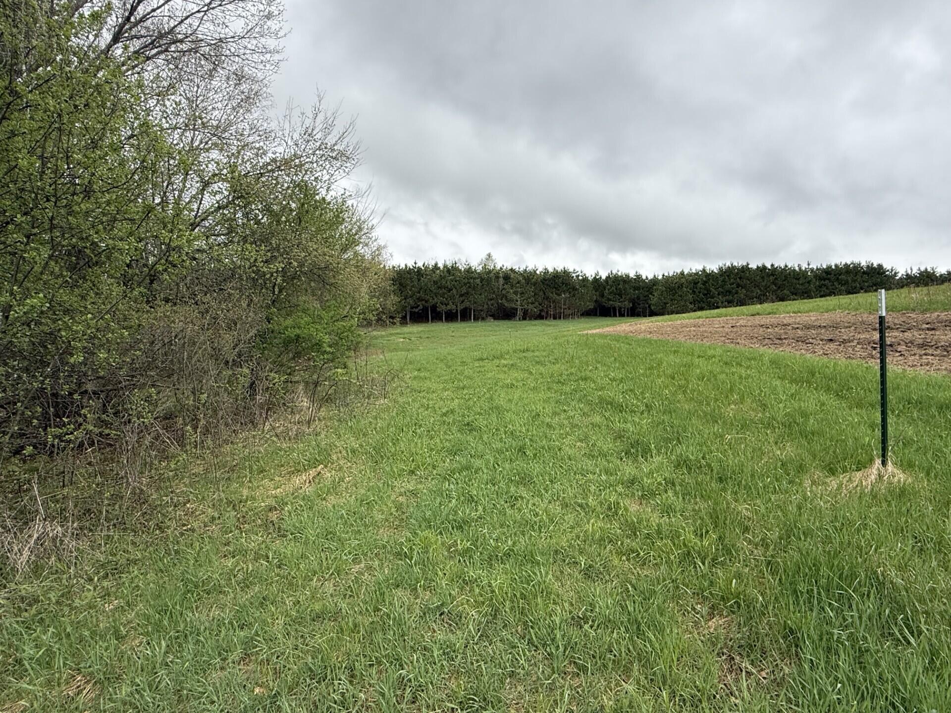 22450 Kodiak Clifton WI 54638 1951976 image80