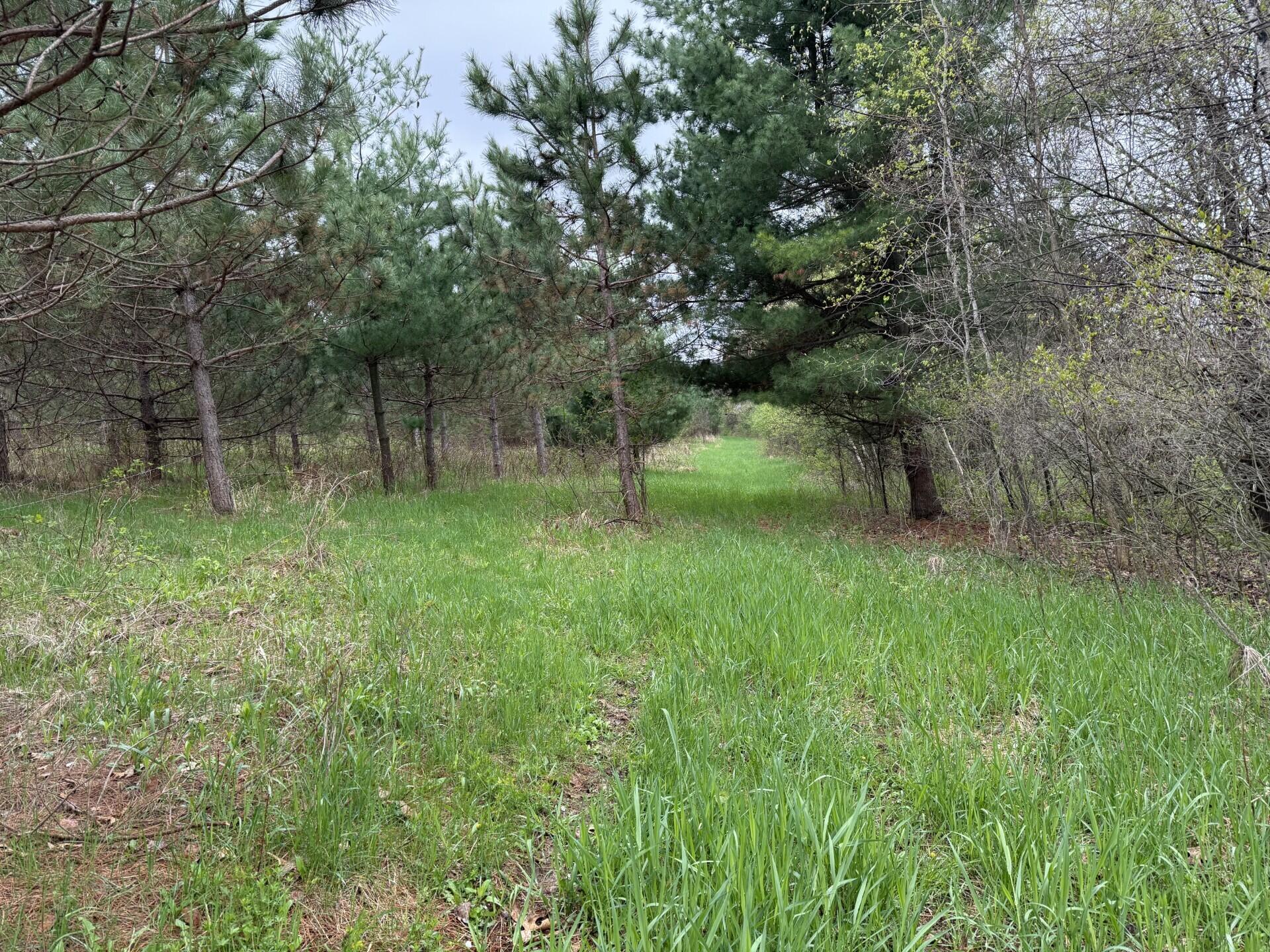 22450 Kodiak Clifton WI 54638 1951976 image82