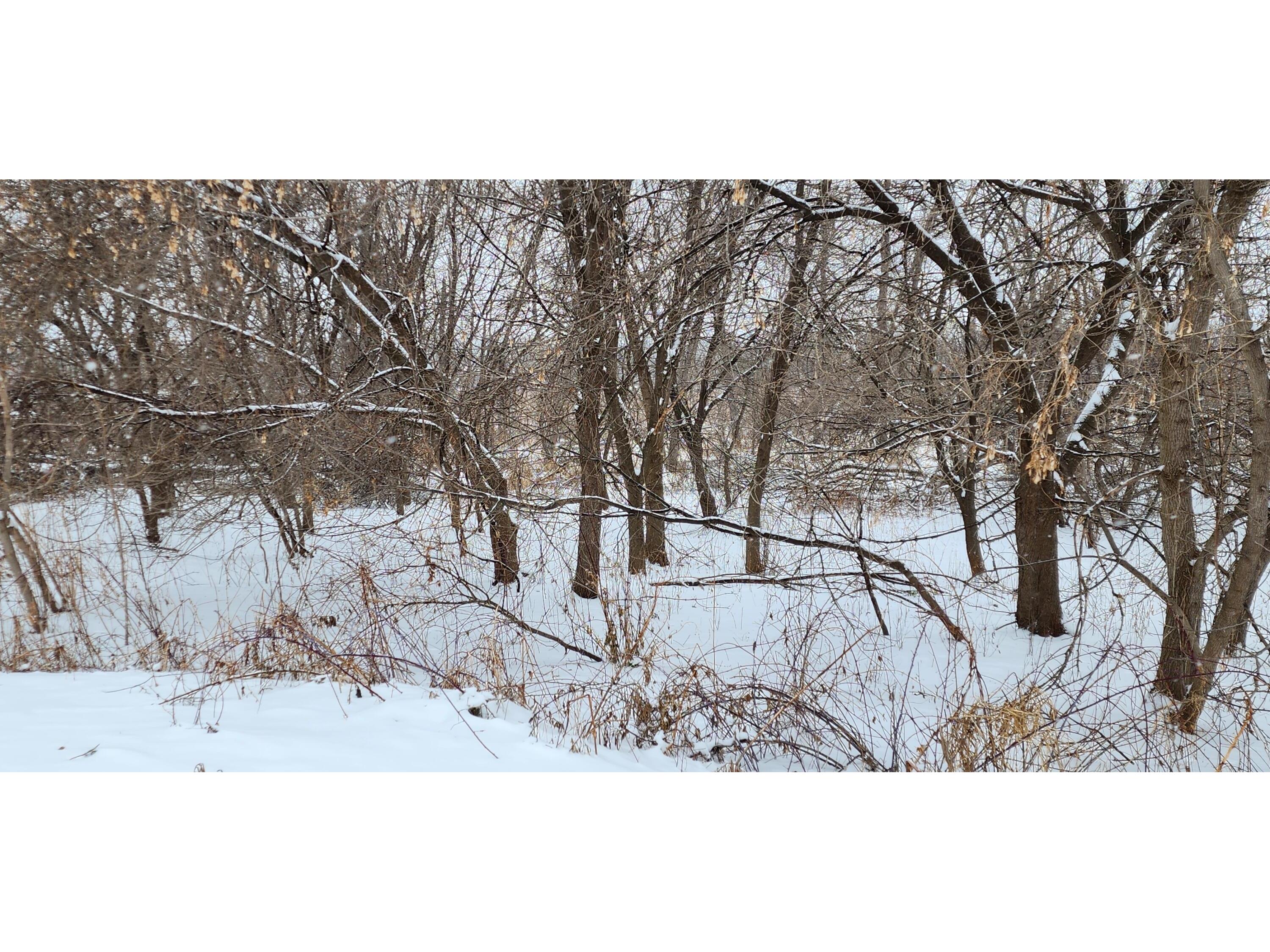 2250 Goodview Winona MN 55987 1945968 image7