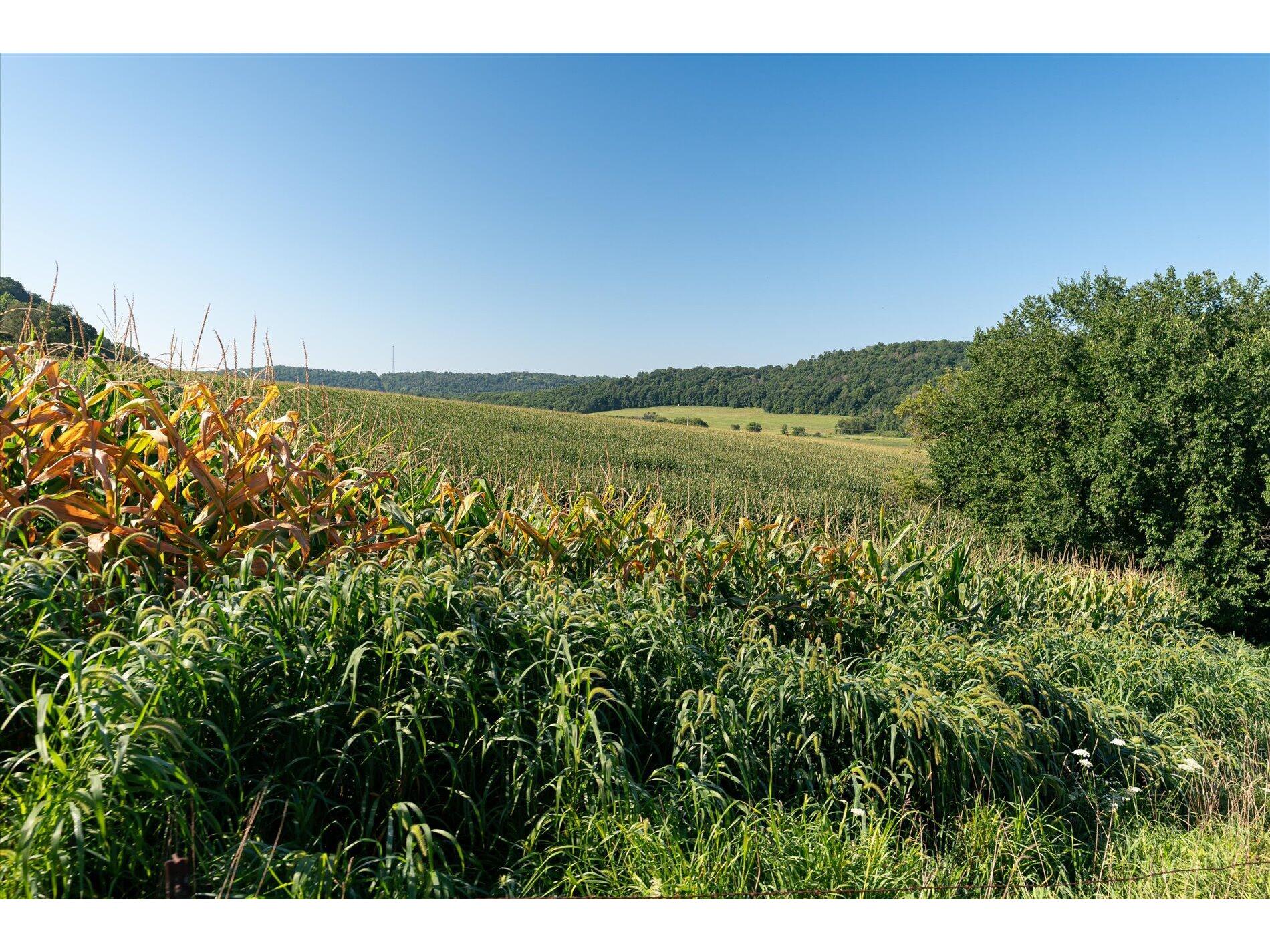 23509 County Dayton WI 53581 1938715 image13