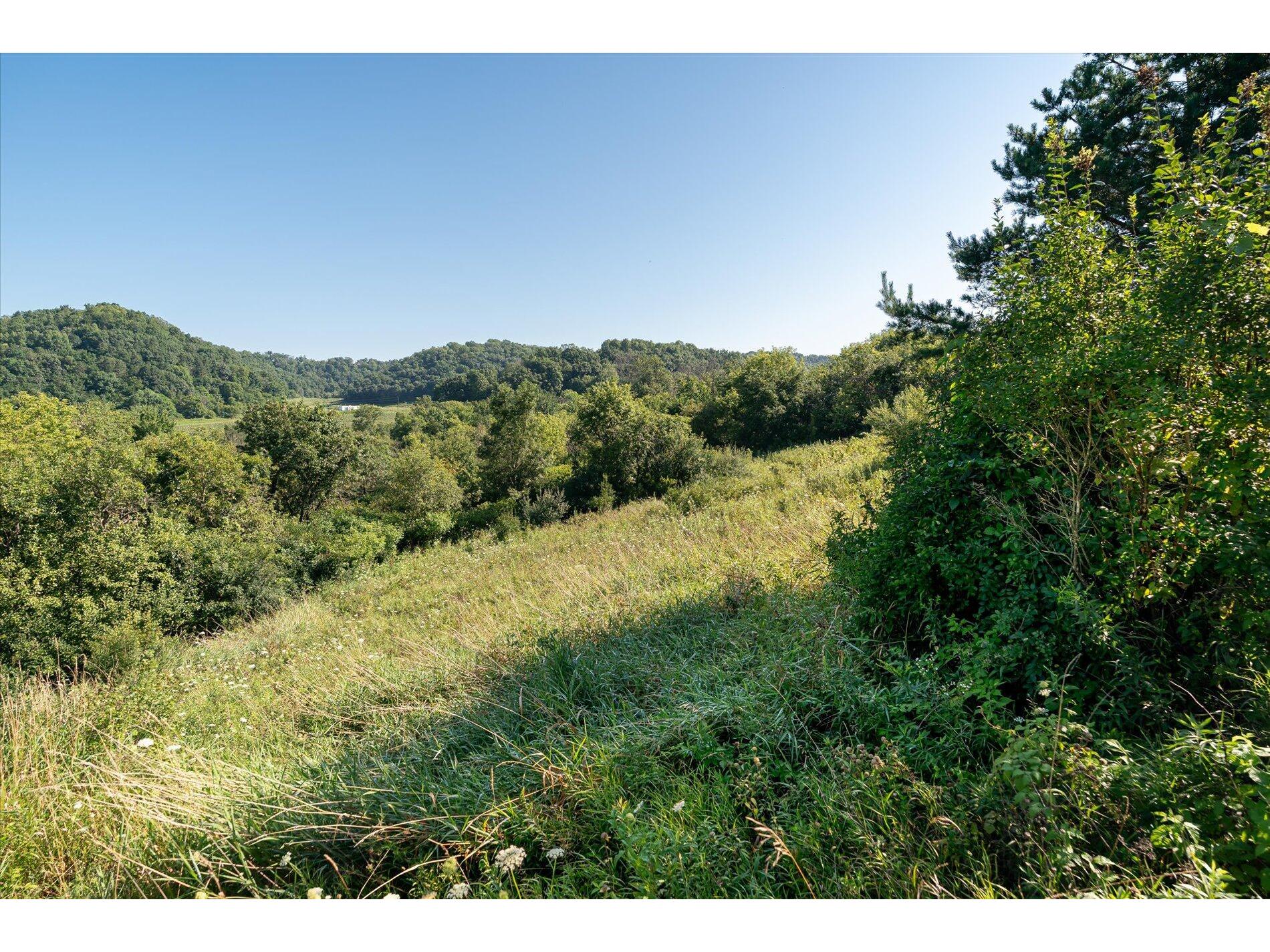 23509 County Dayton WI 53581 1938715 image15