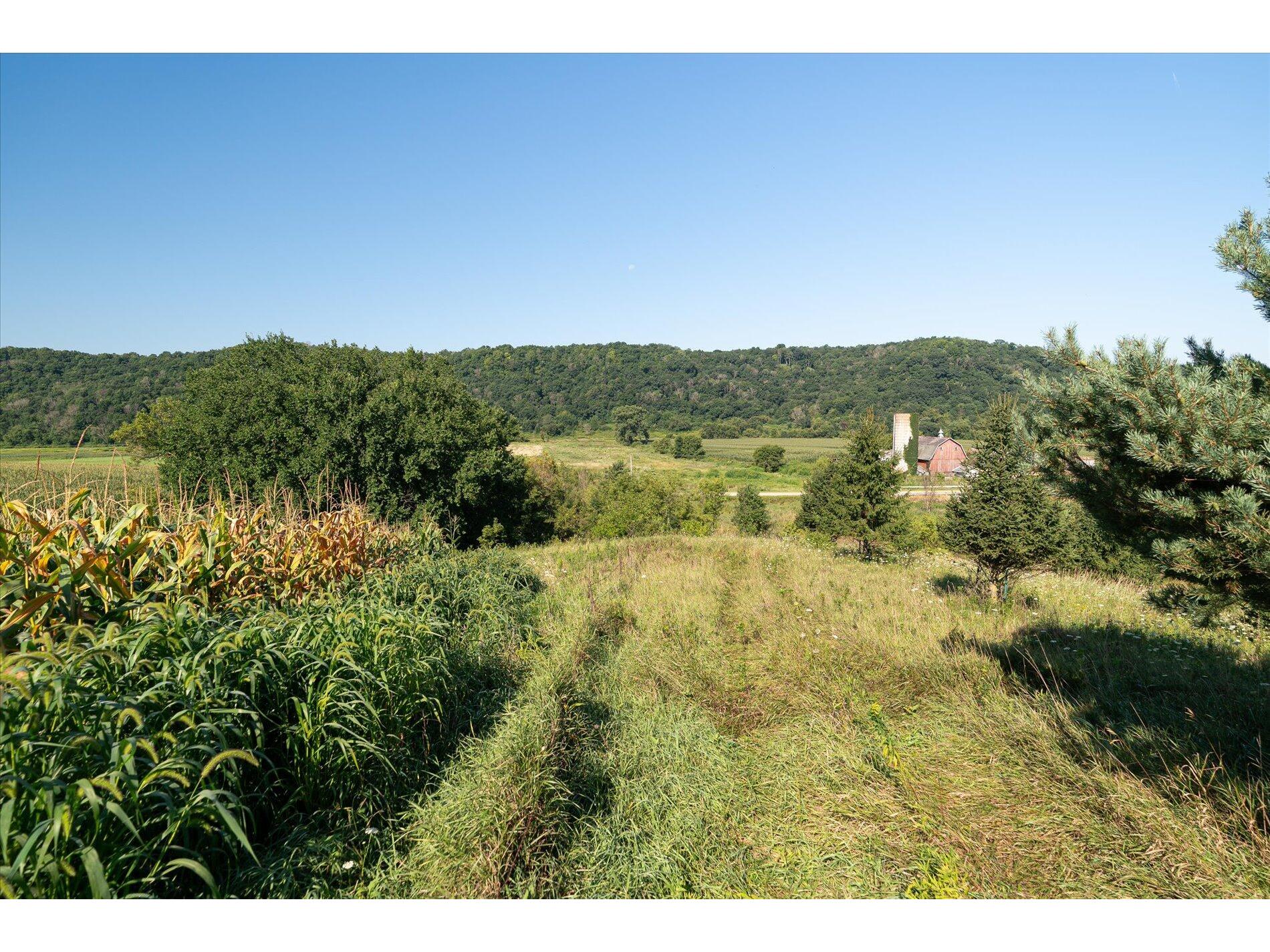 23509 County Dayton WI 53581 1938715 image16