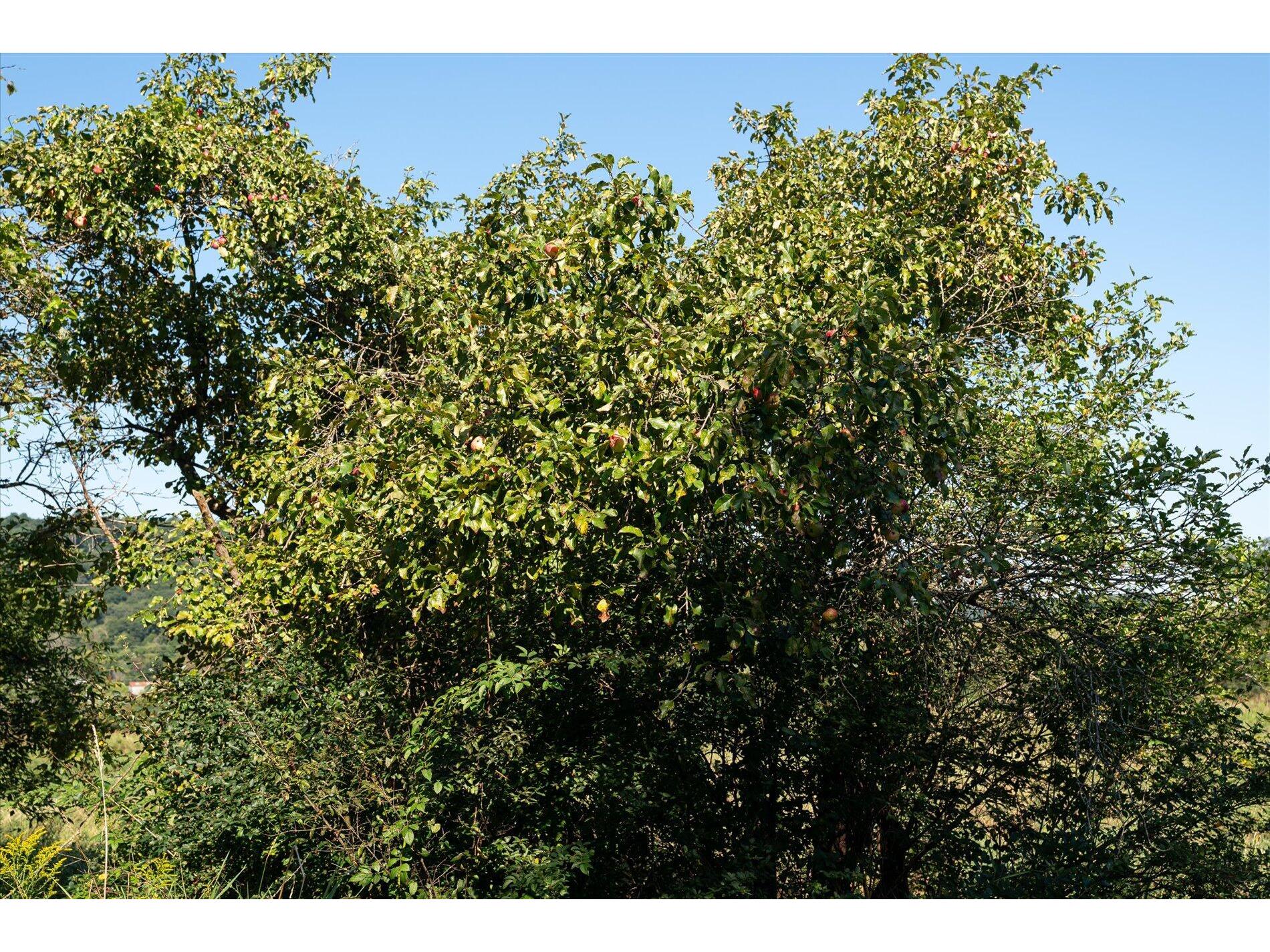 23509 County Dayton WI 53581 1938715 image17